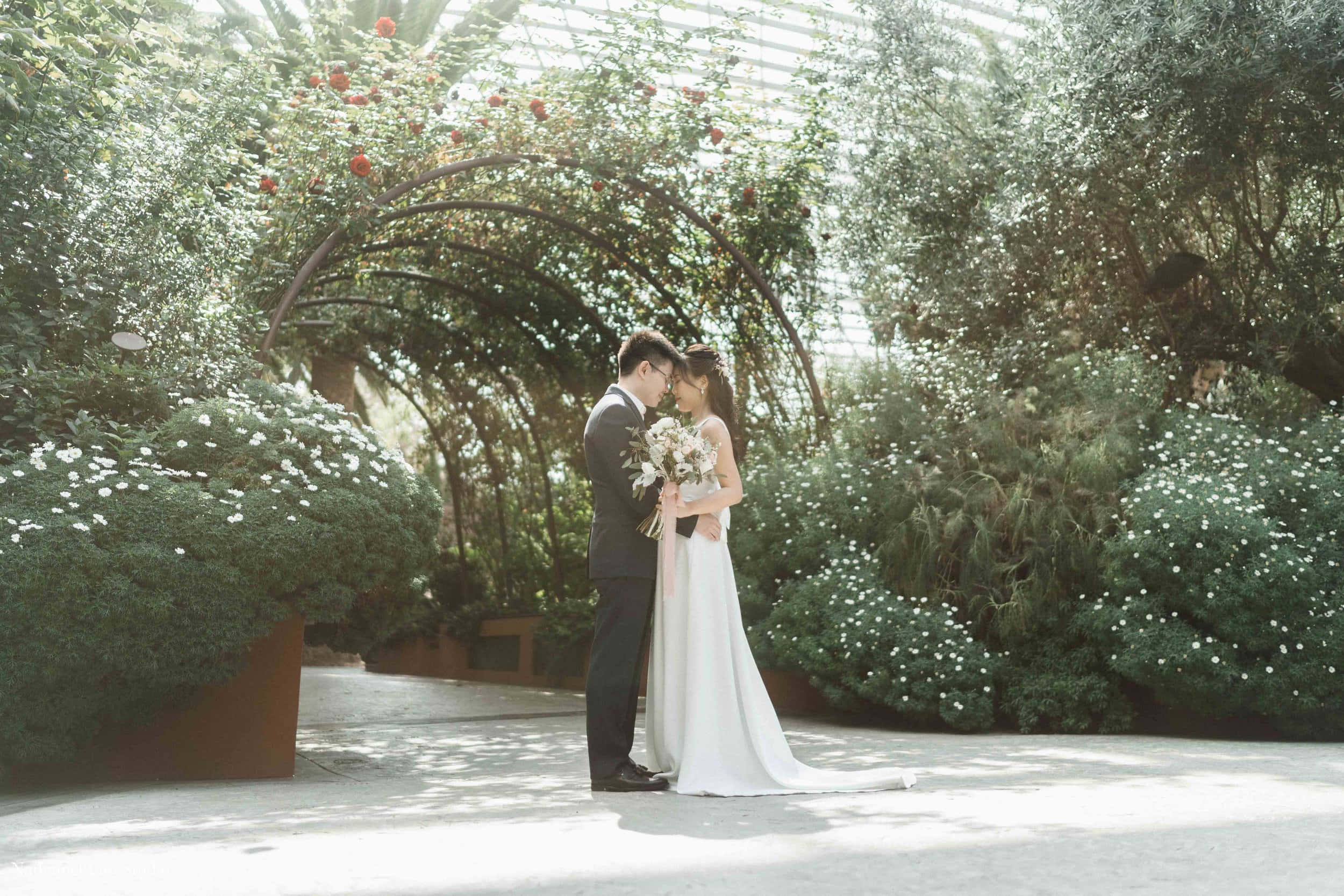 Garden Wedding 桌布 壁紙 — 新娘和新郎在陽光普照的溫室裡，在花拱門下擁抱，周圍是茂密的綠植和白色花朵。