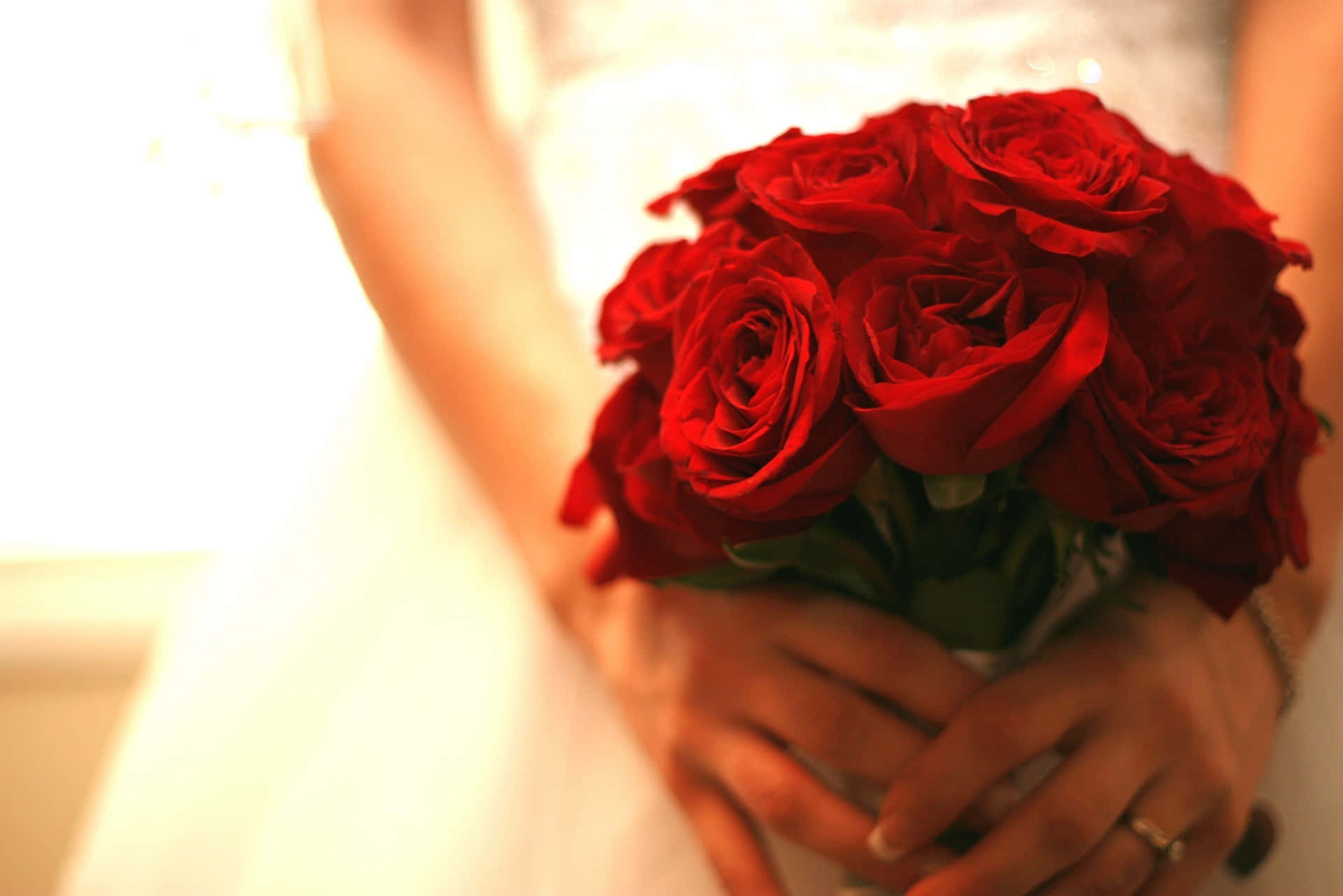 Wedding Bouquet 桌布 壁紙 — 新娘的雙手捧著一束茂盛的深紅玫瑰，背景是柔和模糊的白色婚紗和溫暖的金色光線。