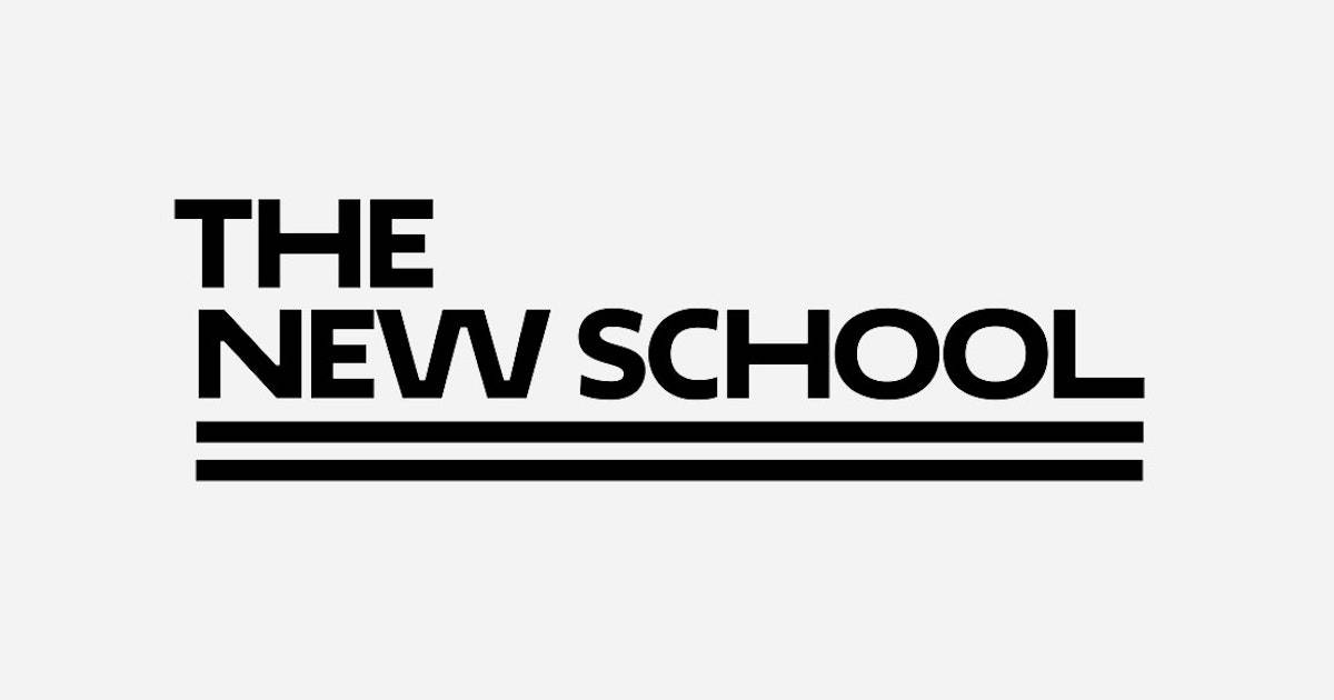 The New School 標誌以粗體黑色字母呈現，下方有兩條水平線。