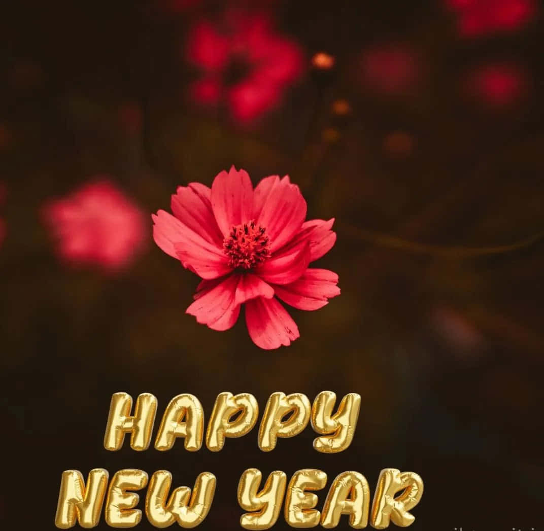 新年快樂圖片 壁紙