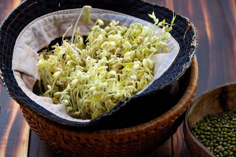 編織籃子裡的新鮮綠豆芽，旁邊有一碗種子。