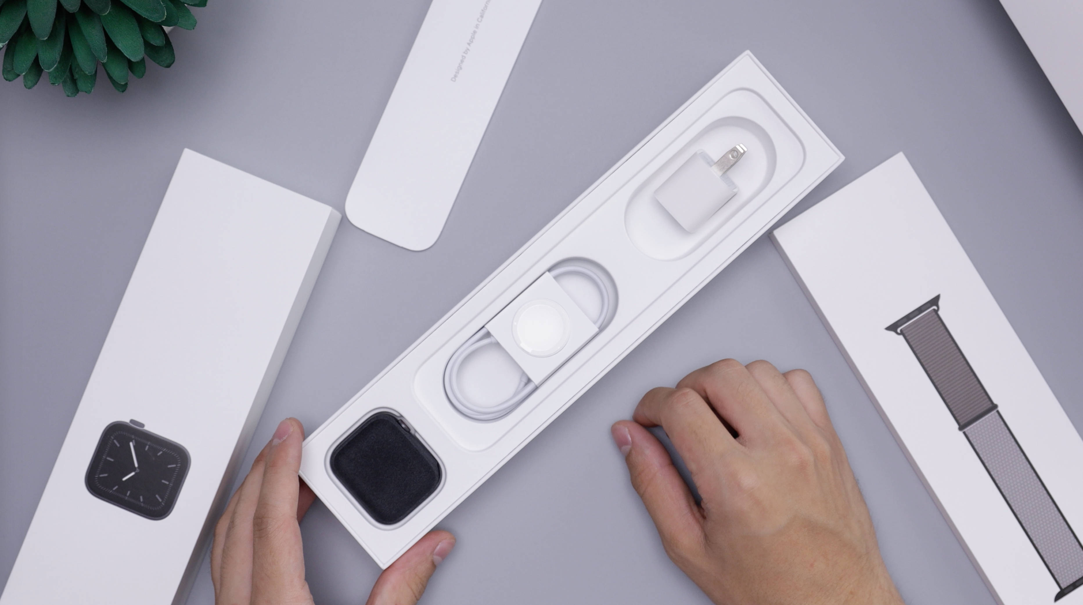新款 Apple 智能手錶 壁紙 — 從上方視角看到雙手打開一個白色Apple Watch盒子，在灰色表面上露出充電器和錶帶，旁邊有一棵綠色植物。