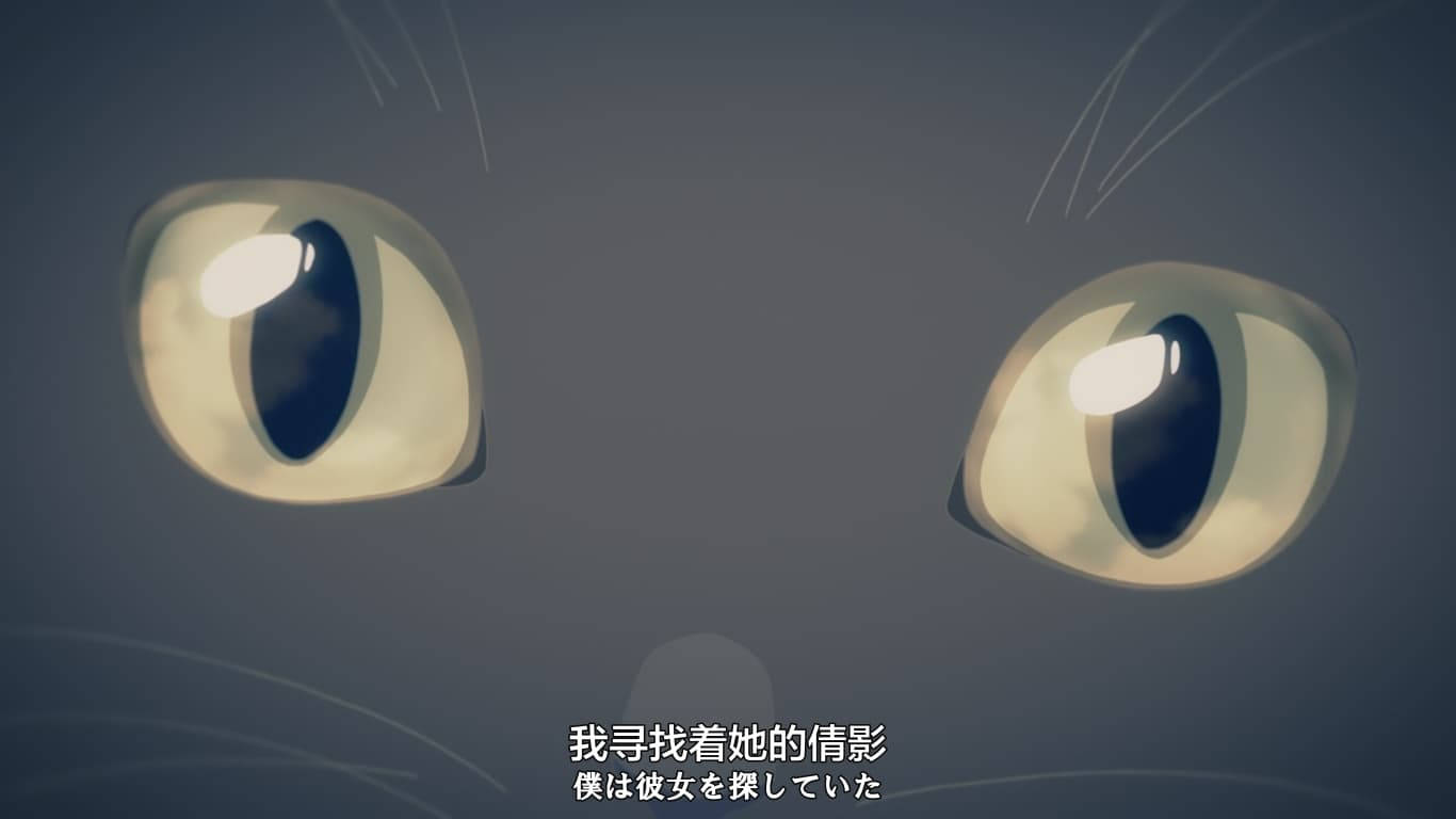 新海誠《她與她的貓》空靈肖像 壁紙 — 發光貓眼的特寫，帶有微妙的鬍鬚，背景為柔和的灰色。