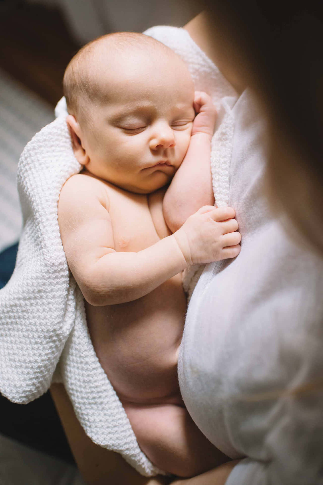被父母抱著、包裹在白色毛毯中安睡的新生嬰兒。