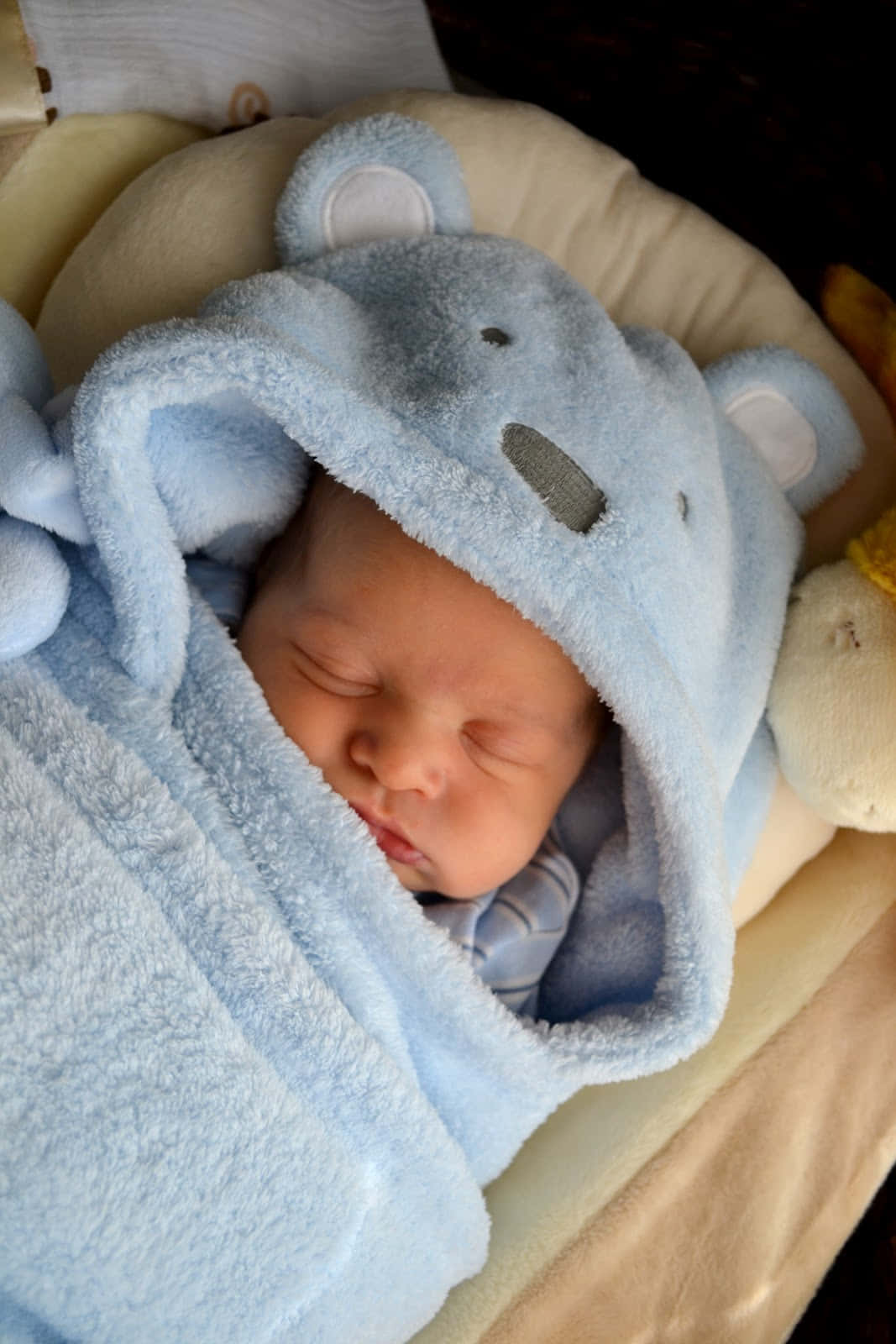 新生男嬰毯子照片 壁紙 — 一個平靜的新生嬰兒被柔軟的藍色小熊主題連帽毛巾包裹著，安放在舒適的奶油色搖籃中，睡得香甜。