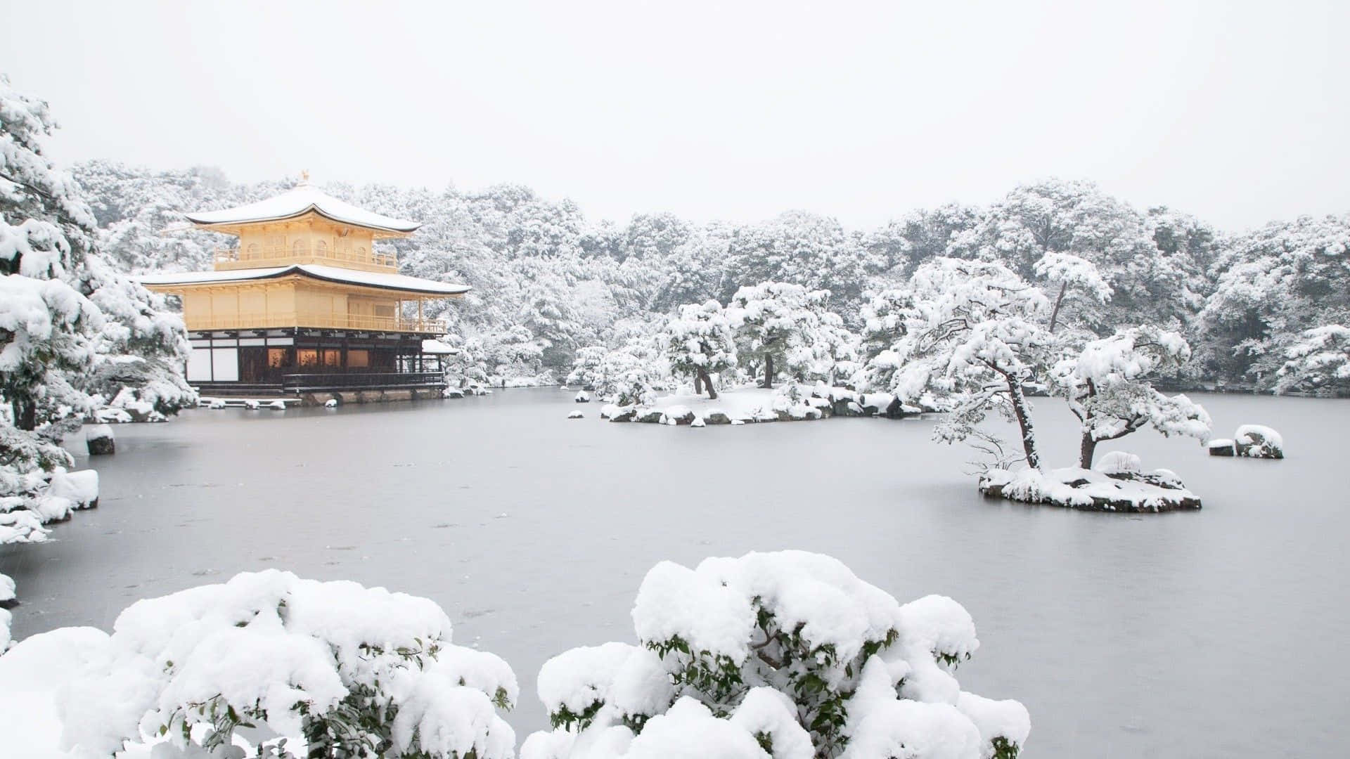湖上被雪覆蓋的金色寺廟，被冬季樹木環繞