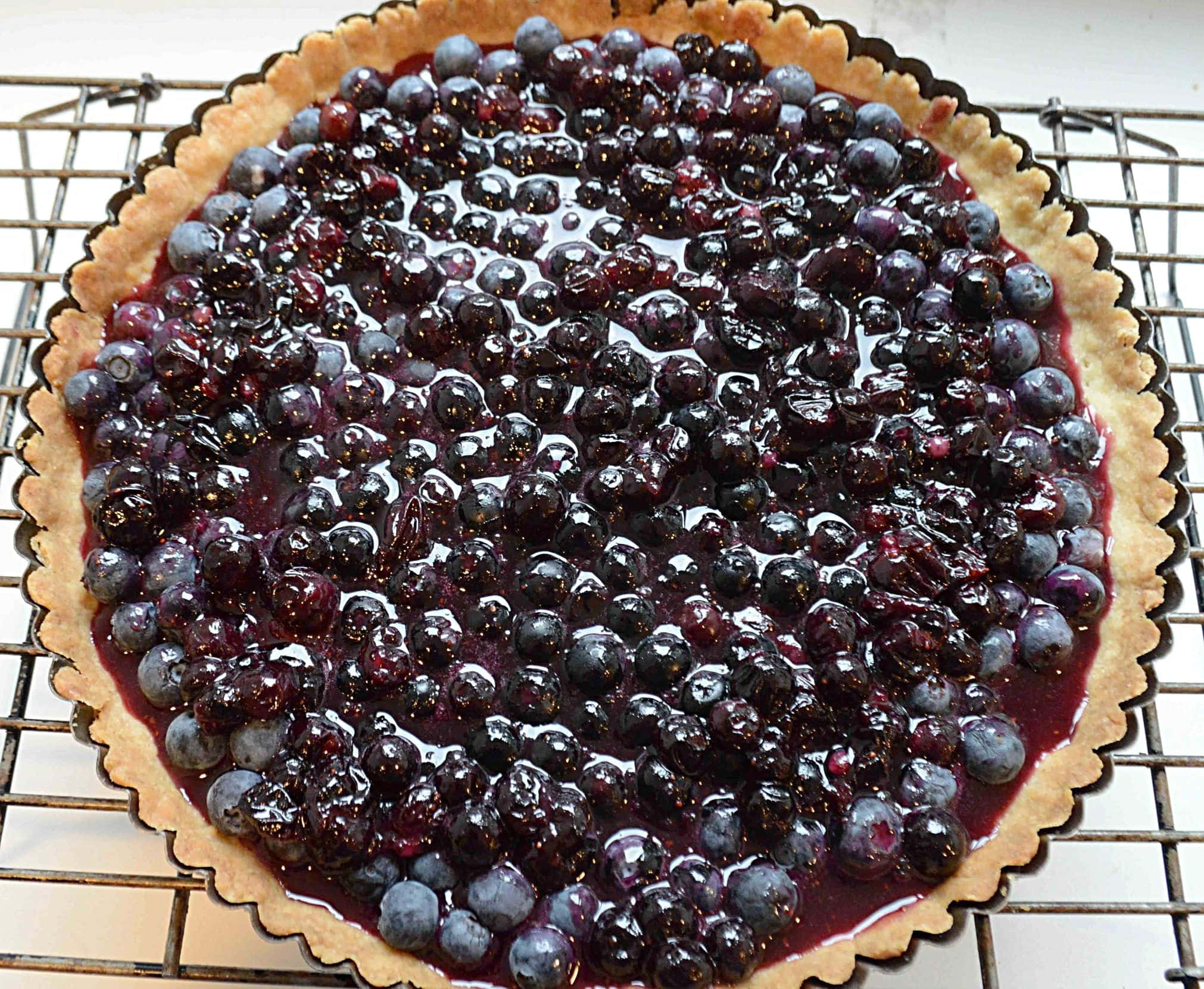 Blueberries Tart 桌布 壁紙 — 新鮮出爐的藍莓撻，閃亮的莓果和金黃色的外皮，放在冷卻架上。