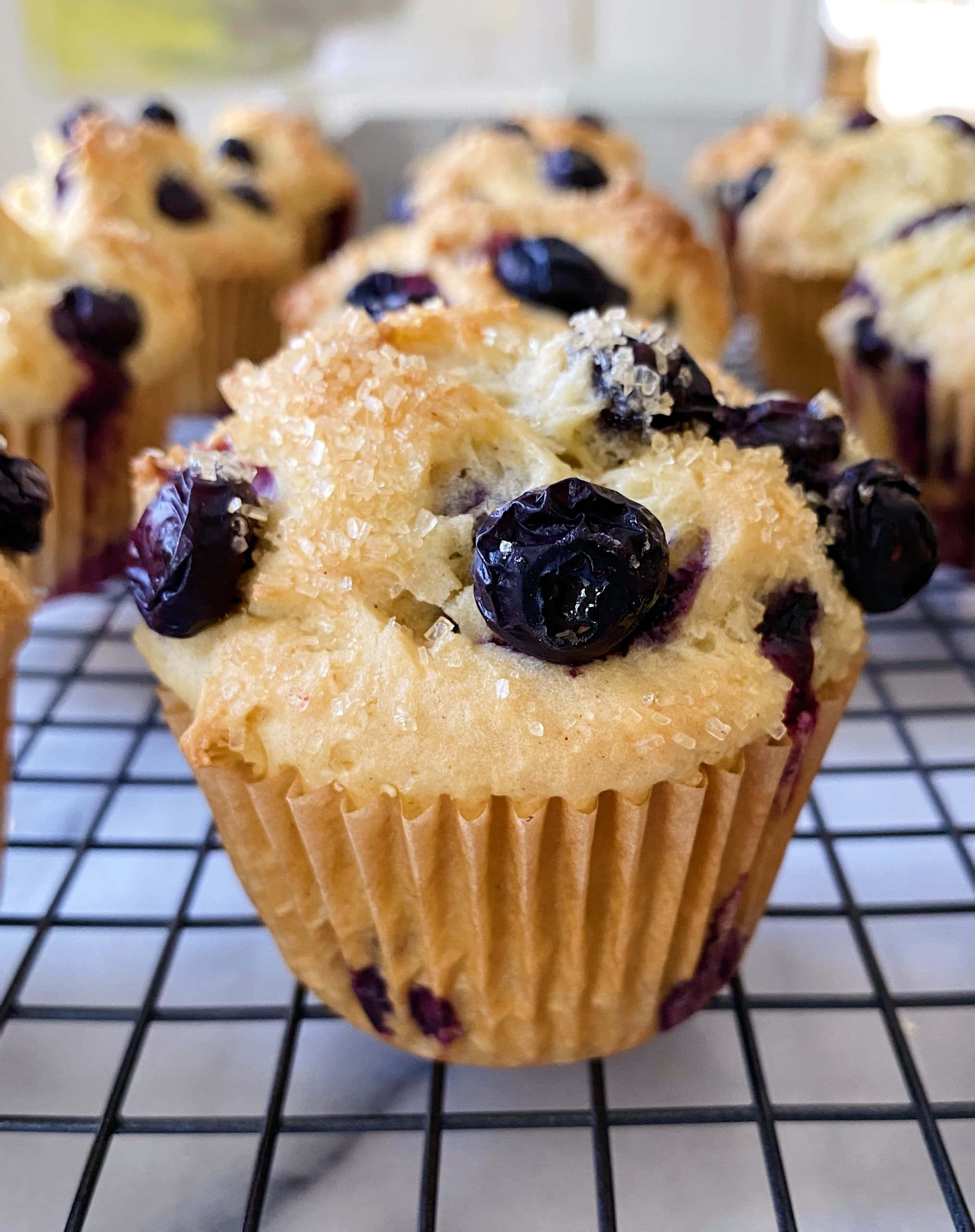Blueberry Muffins 桌布 壁紙 — 新鮮出爐的藍莓鬆餅，頂部撒有糖粒，在黑色金屬架上冷卻。