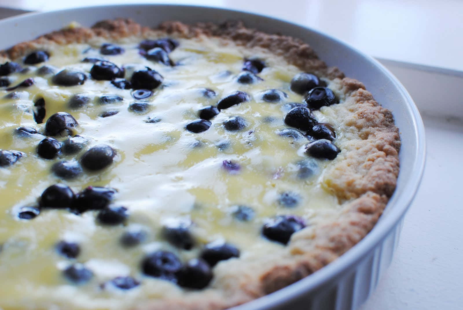 Blueberries Tart 桌布 壁紙 — 新鮮出爐藍莓撻嘅特寫，金黃色嘅外皮同閃亮嘅莓果，放喺白色焗盤入面。