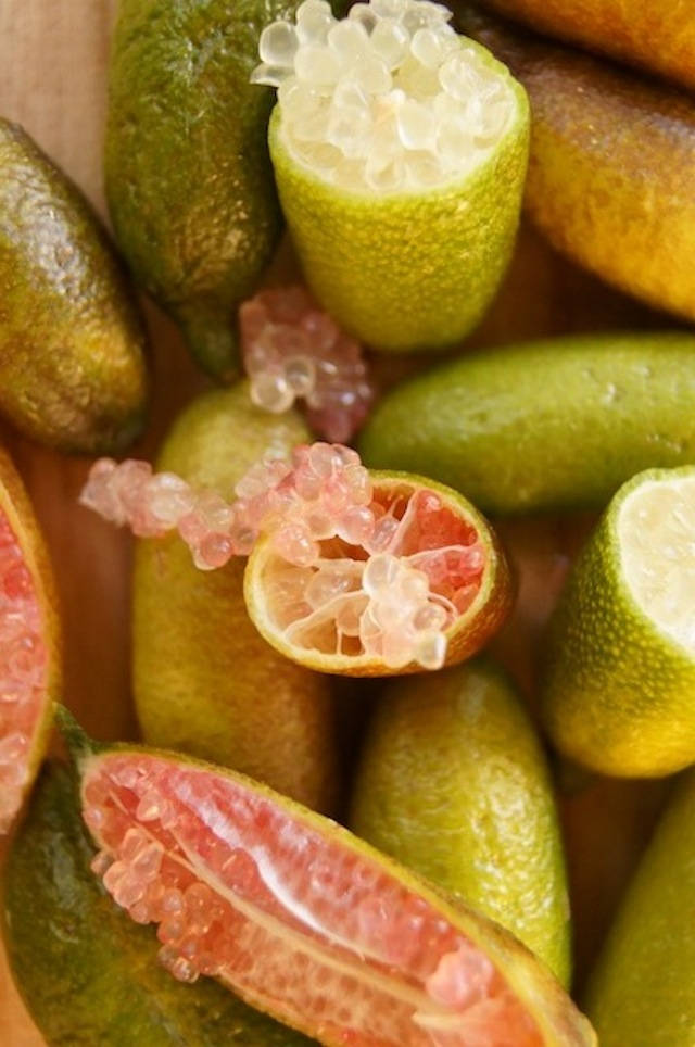 新鮮切開的指 lime 壁紙 — 木質表面上切半金橘的特寫，露出閃閃發光的粉白色果肉和綠色果皮。