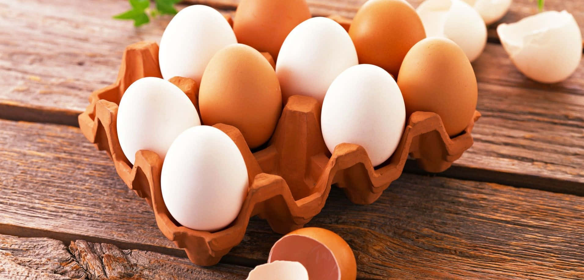 Eggs 桌布 壁紙 — 新鮮嘅啡色同白色雞蛋放喺一個紙板托盤上，下面係一個鄉村風格嘅木質表面，周圍散落住蛋殼。