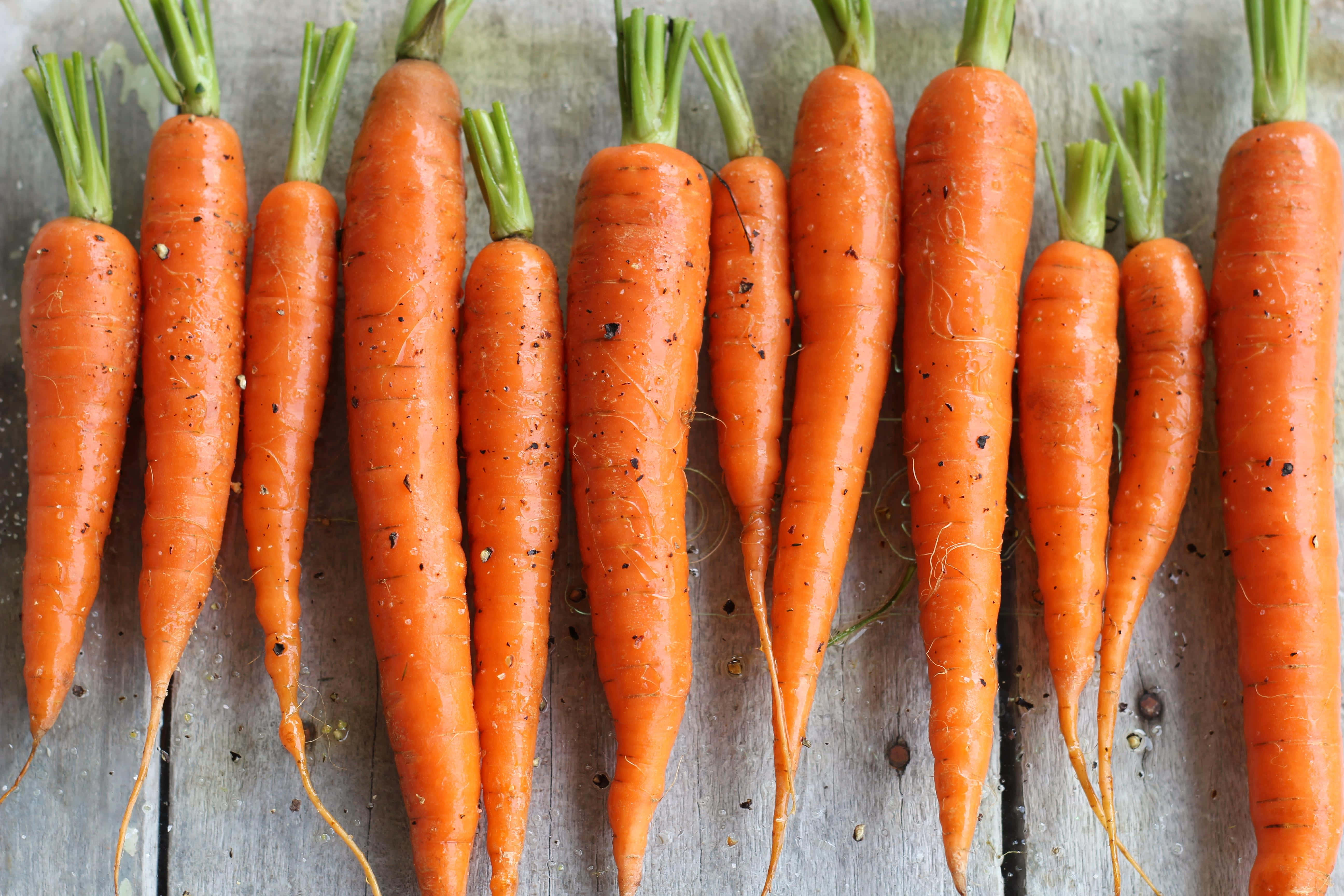 Carrot 桌布 壁紙 — 新鮮收穫的紅蘿蔔，帶有綠色頂部，整齊地排列在風化的木質表面上。