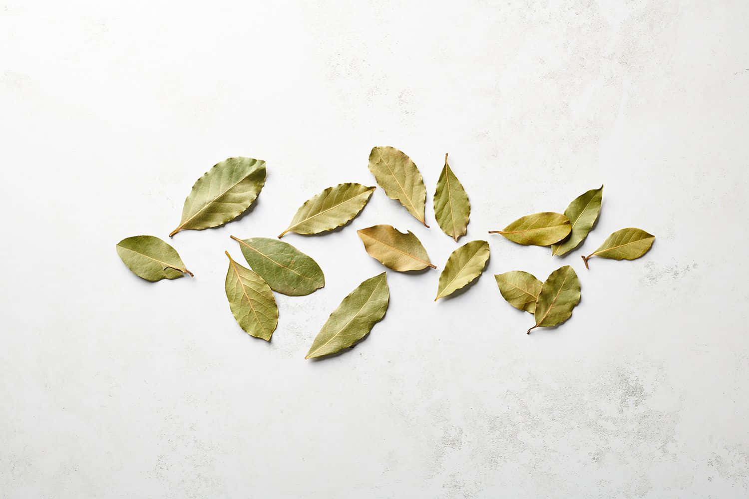 Leaves 桌布 壁紙 — 新鮮月桂葉散落在有紋理的白色表面上，形成鬆散的弧形。