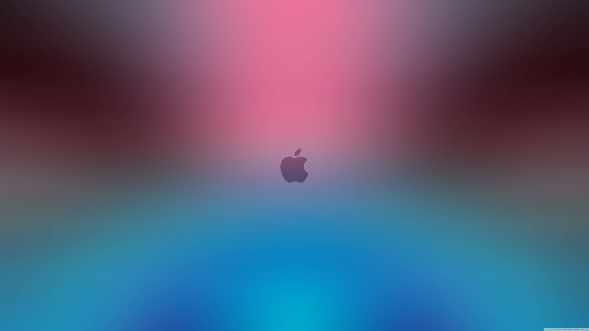 Apple標誌居中在粉紅到藍色漸變背景上。