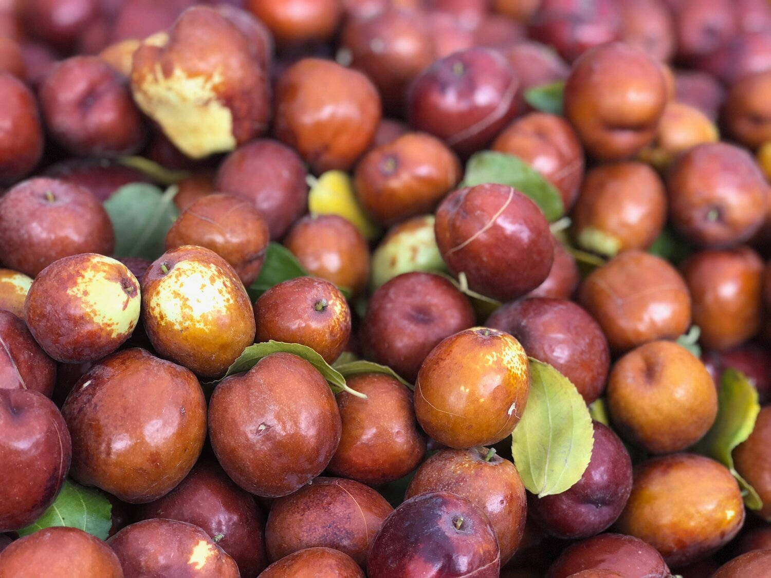 新鮮無花果堆 壁紙 — 飽滿紅褐色紅棗的特寫，其間散落著綠葉。