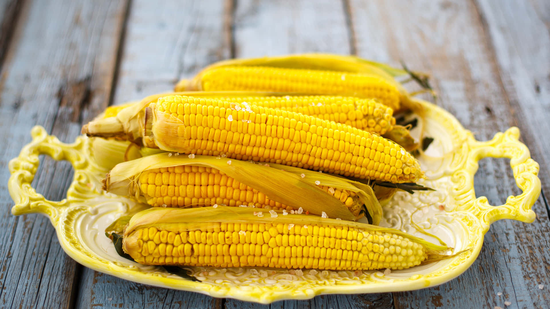 Corn 桌布 壁紙 — 新鮮煮熟嘅粟米加鹽，放喺黃色裝飾碟上，再擺喺風化嘅木枱上面。