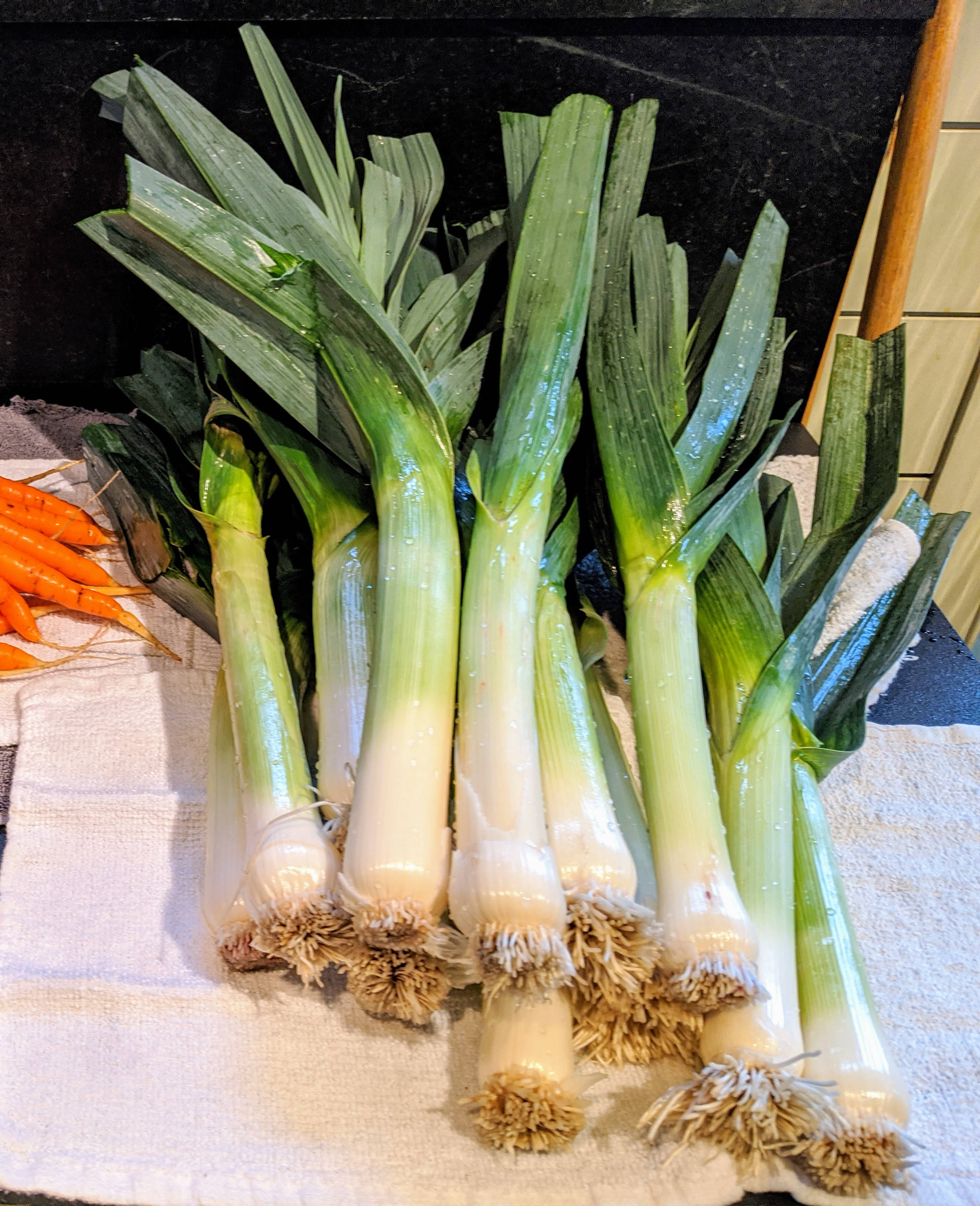 新鮮生韭蔥頂視圖 壁紙 — 新鮮的韭菜，綠色莖和白色鱗莖，放在白色毛巾上，旁邊有胡蘿蔔，在廚房檯面上。