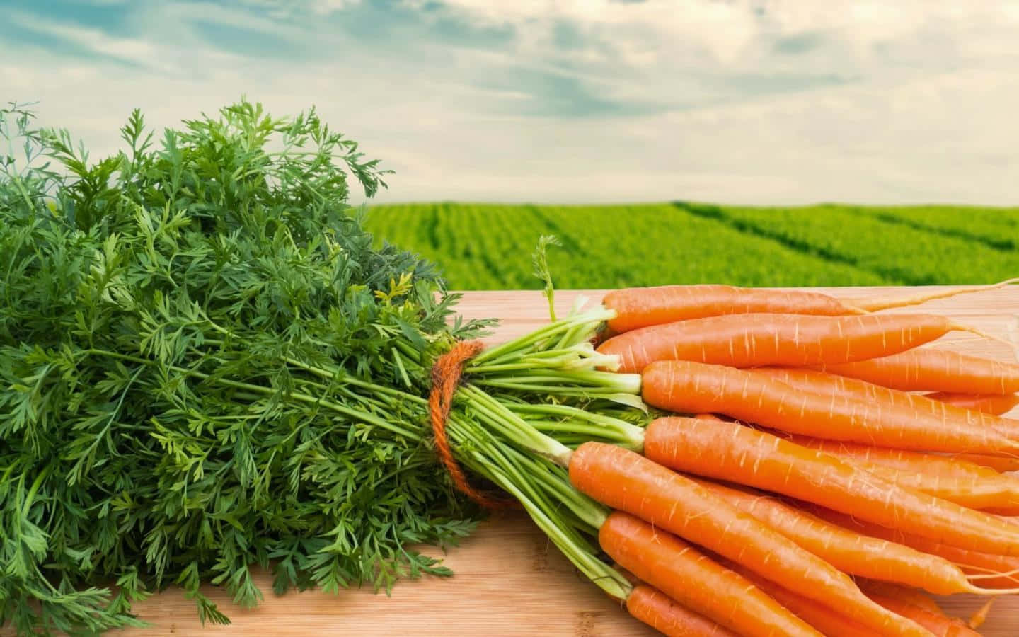Carrot 桌布 壁紙 — 新鮮的橙色胡蘿蔔帶著綠色頂部捆綁在一起，放在木板上，背景是模糊的綠色田野。