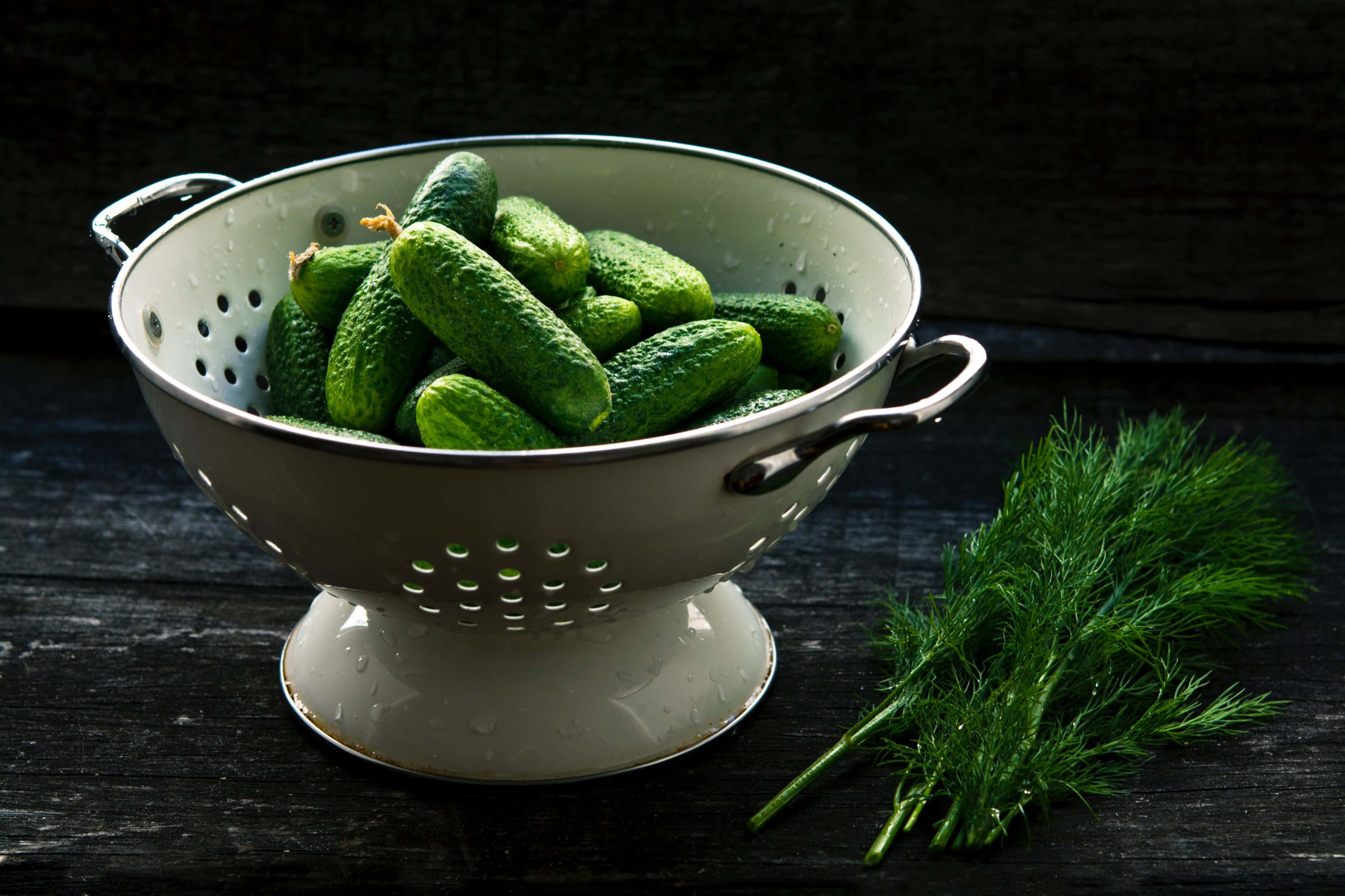 cucumber 桌布 壁紙 — 新鮮的青瓜在白色濾鍋中閃閃發光，旁邊是羽毛般的蒔蘿，置於深色木質表面上。
