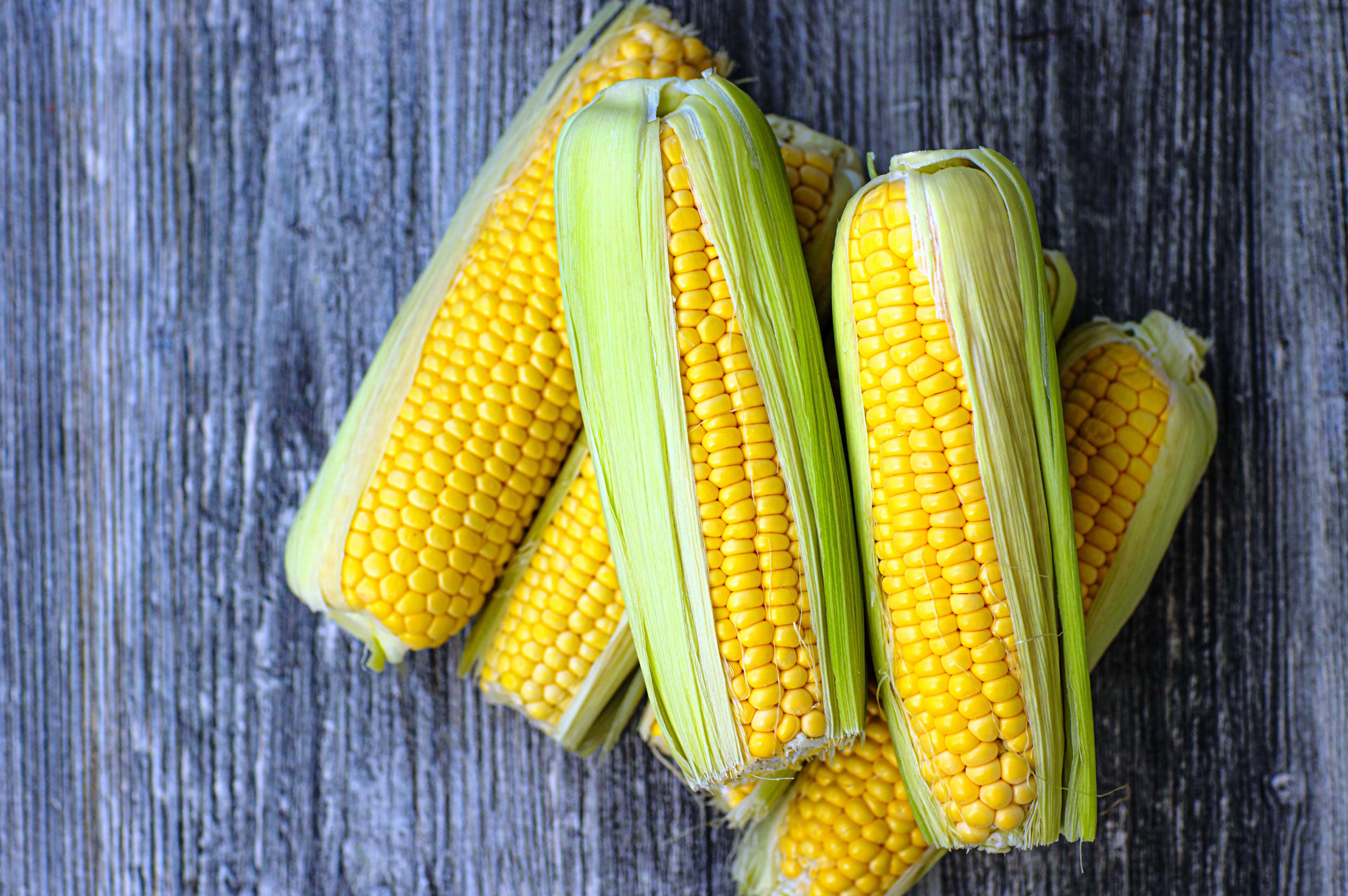 Yellow Corn 桌布 壁紙 — 新鮮的黃色玉米棒帶綠色外皮，放在風化的灰色木質表面上。