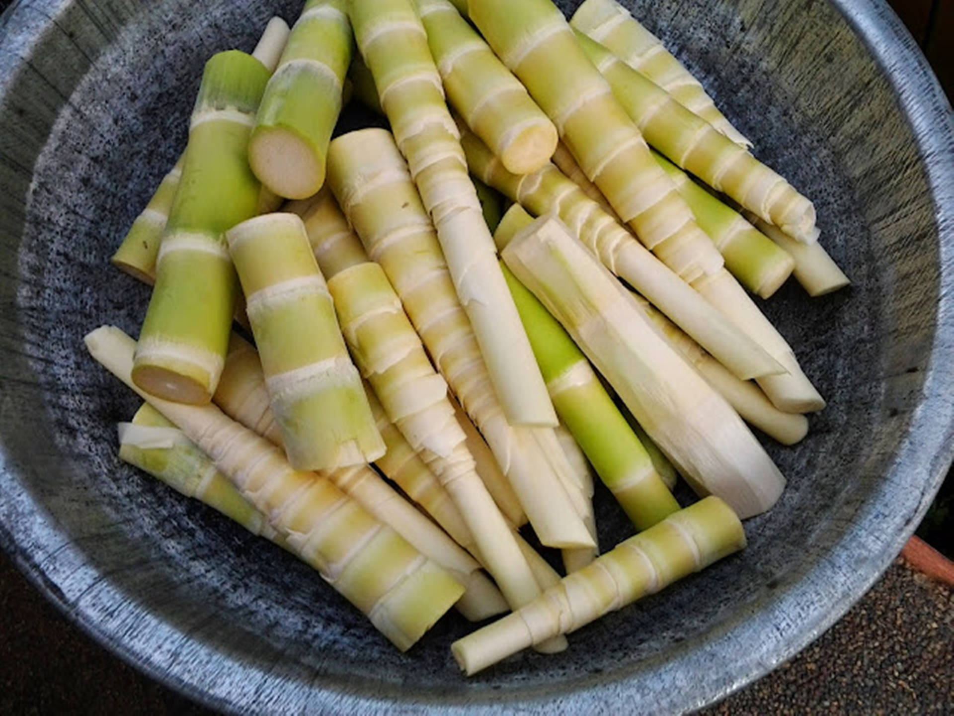 灰色陶瓷碗中的新鮮竹筍