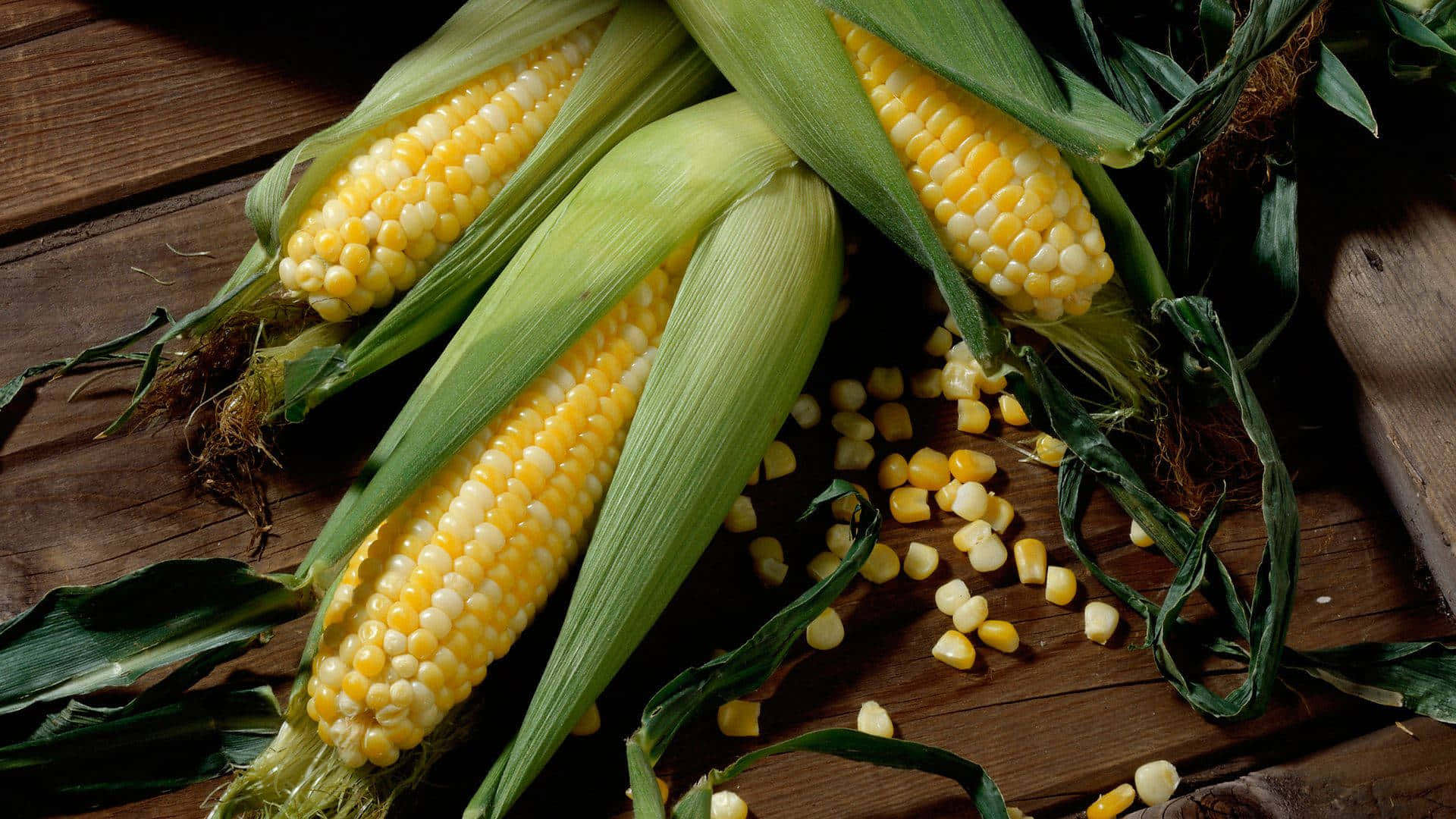 Corn 桌布 壁紙 — 新鮮粟米棒上散落著粟米粒，放在質樸的木質表面上。