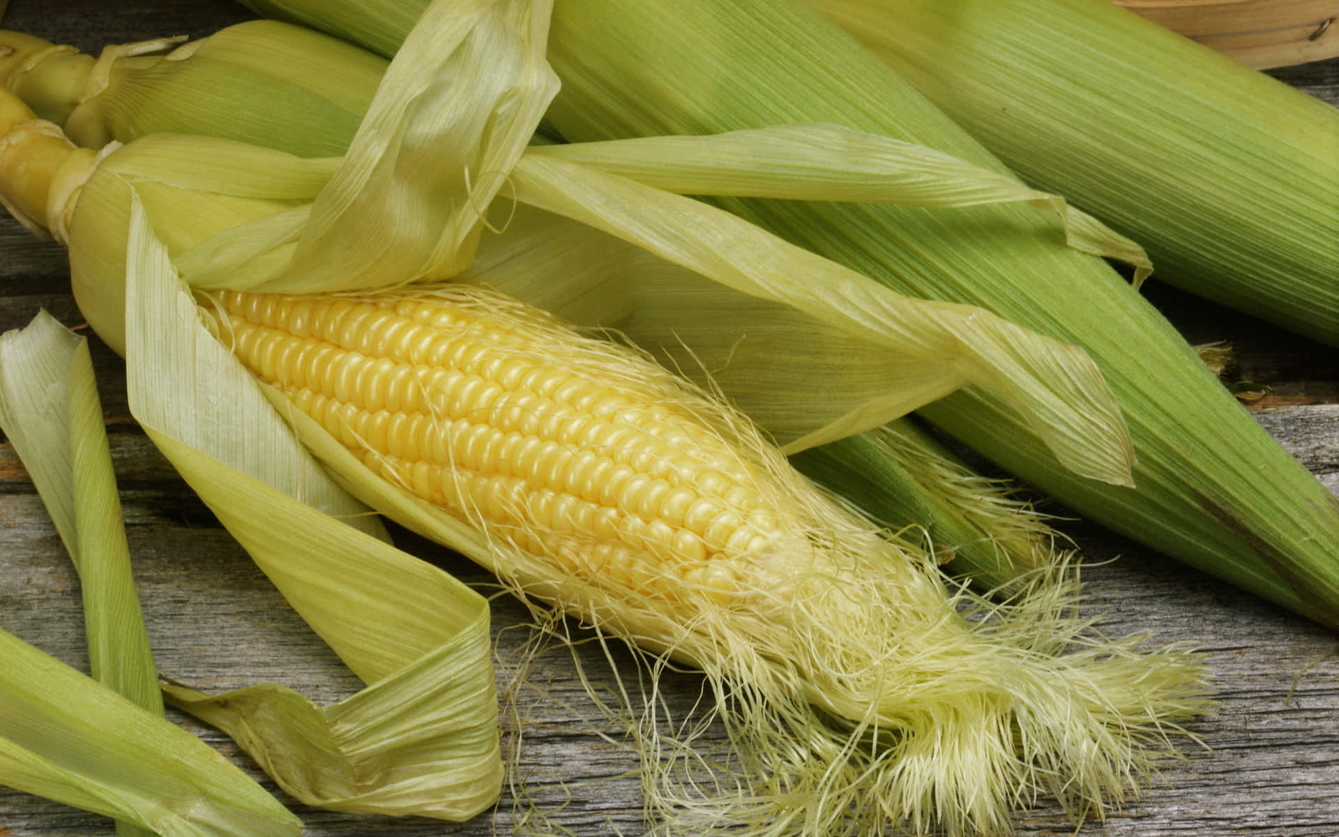 Corn 桌布 壁紙 — 新鮮粟米穗，淡綠色外皮剝開，露出飽滿金黃色的粟米粒，放在經風化的木板上。