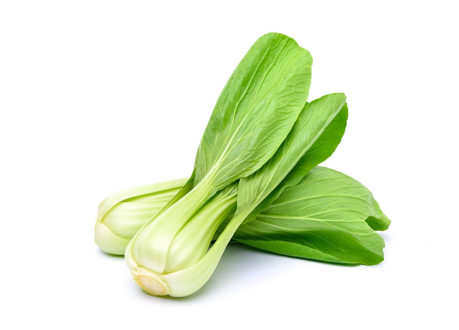 新鮮白菜仔，綠色葉同白色莖，喺白色背景上