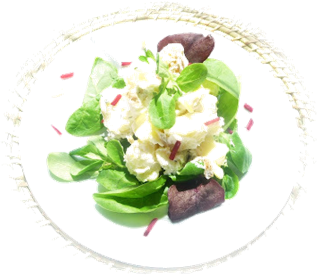 新鮮綠葉沙拉拋拌食材 壁紙 — 一道充滿活力的沙律，有爽脆的蔬菜、奶油醬汁和紫色菊苣，排列在圓形白色筆觸框架內。