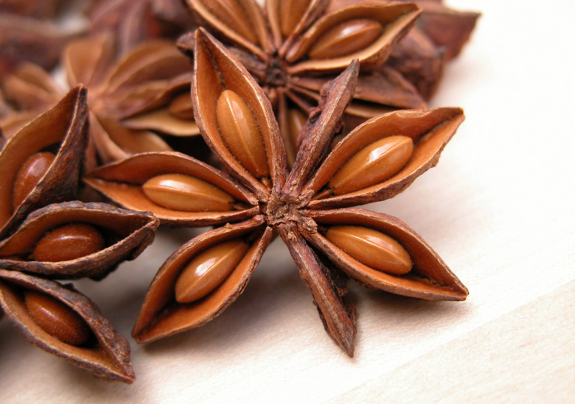 白色背景上可見種子的八角茴香料莢。