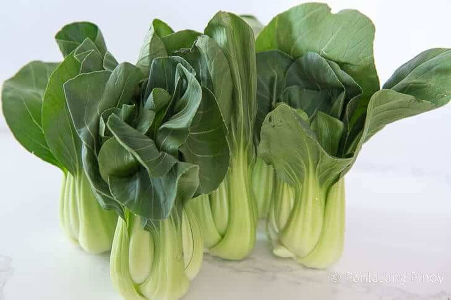 白色大理石枱面上的新鮮小白菜蔬菜。