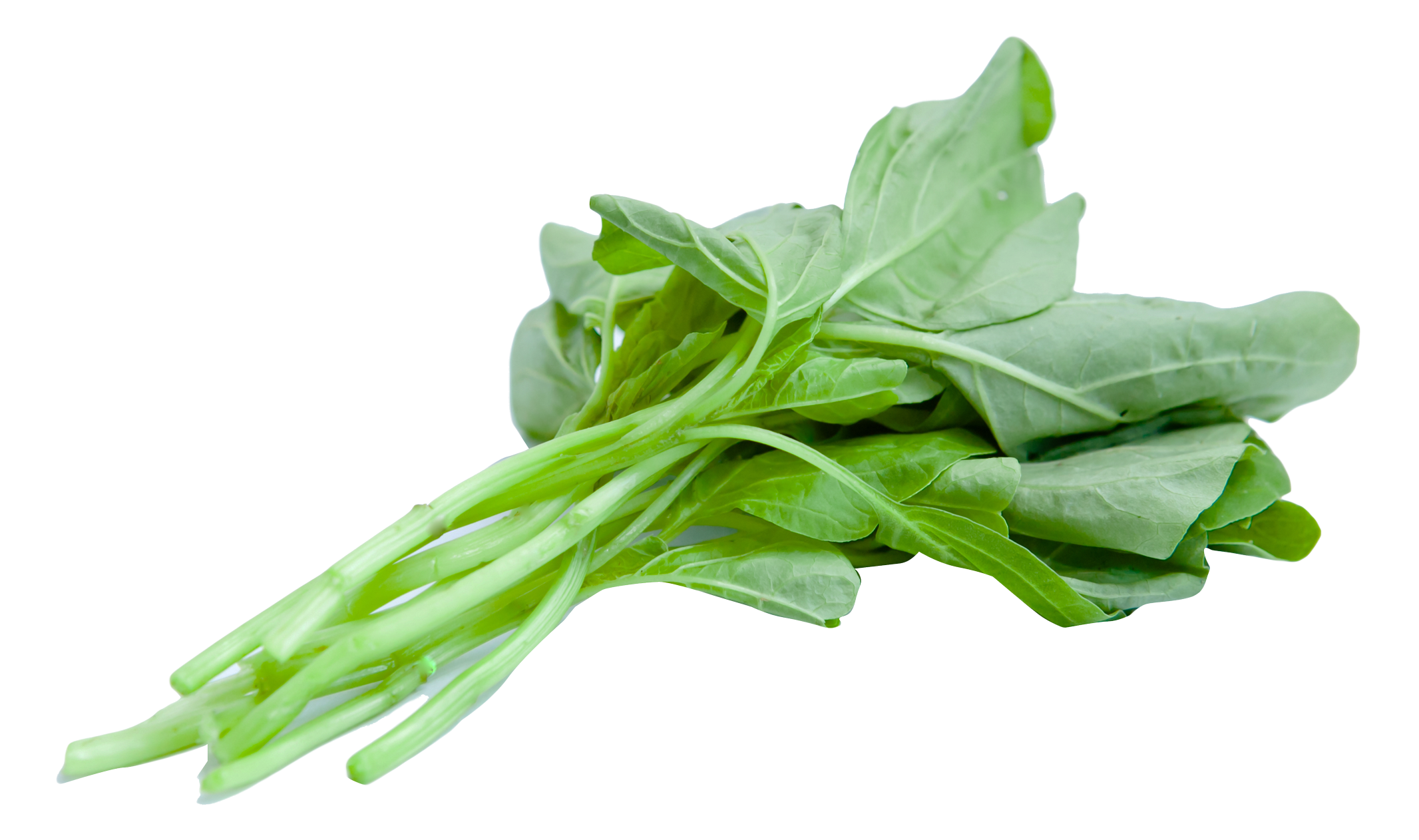 新鮮菠菜葉孤立圖像 壁紙