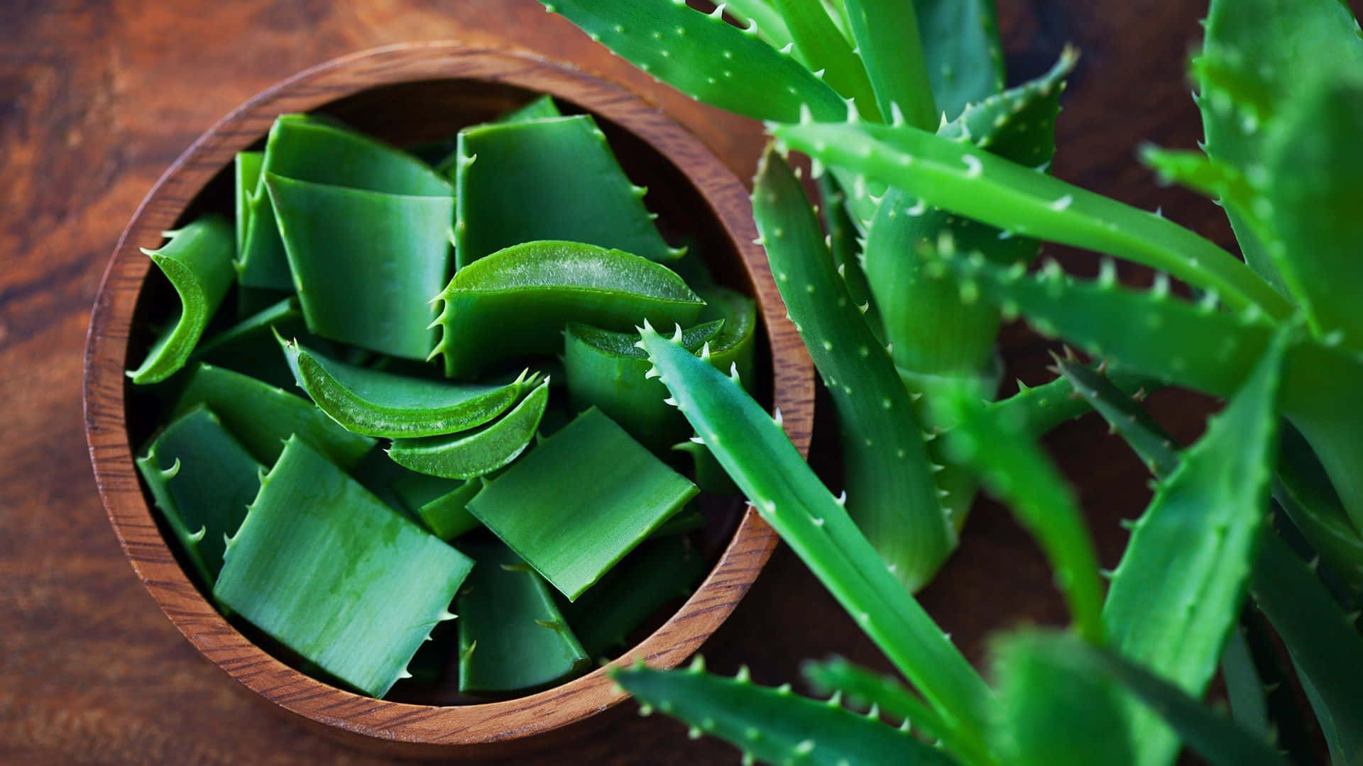 Aloe Vera 桌布 壁紙 — 新鮮蘆薈葉切片並擺放在木碗中，旁邊有一株活蘆薈植物，置於鄉村風格的木質表面上。