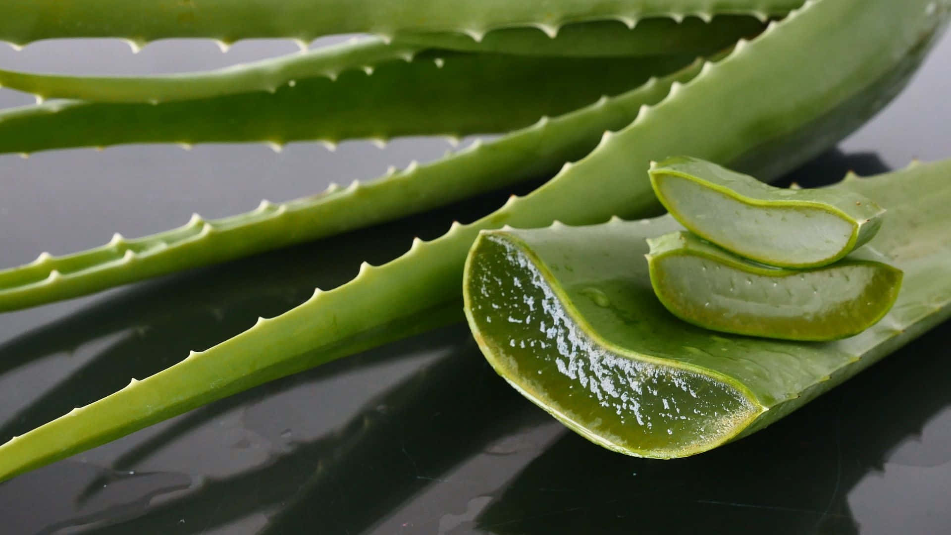 Aloe Vera 桌布 壁紙 — 新鮮蘆薈葉片帶有凝膠填充的橫切面，放置在深色反光表面上。