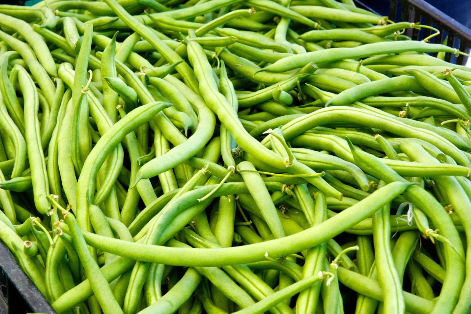 beans 桌布 壁紙 — 新鮮青豆高高堆疊在深色籃子中的鮮豔特寫，展現其光澤質感和自然曲線。