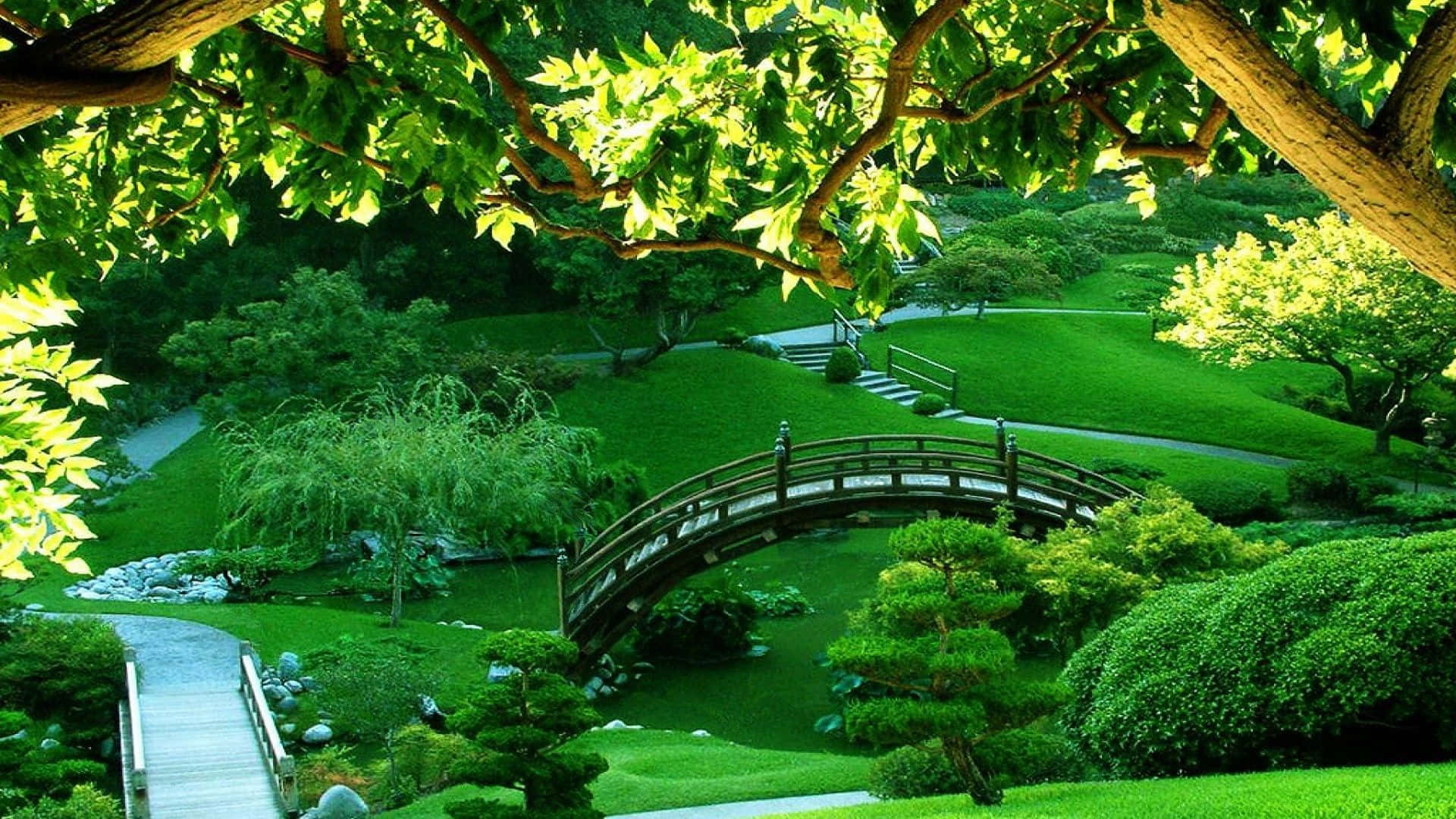 於公園享受寧靜的傍晚散步 壁紙 — 一個寧靜的日本花園，有一座木製拱橋橫跨在一個被茂密綠植和蜿蜒小徑環繞的平靜池塘上。