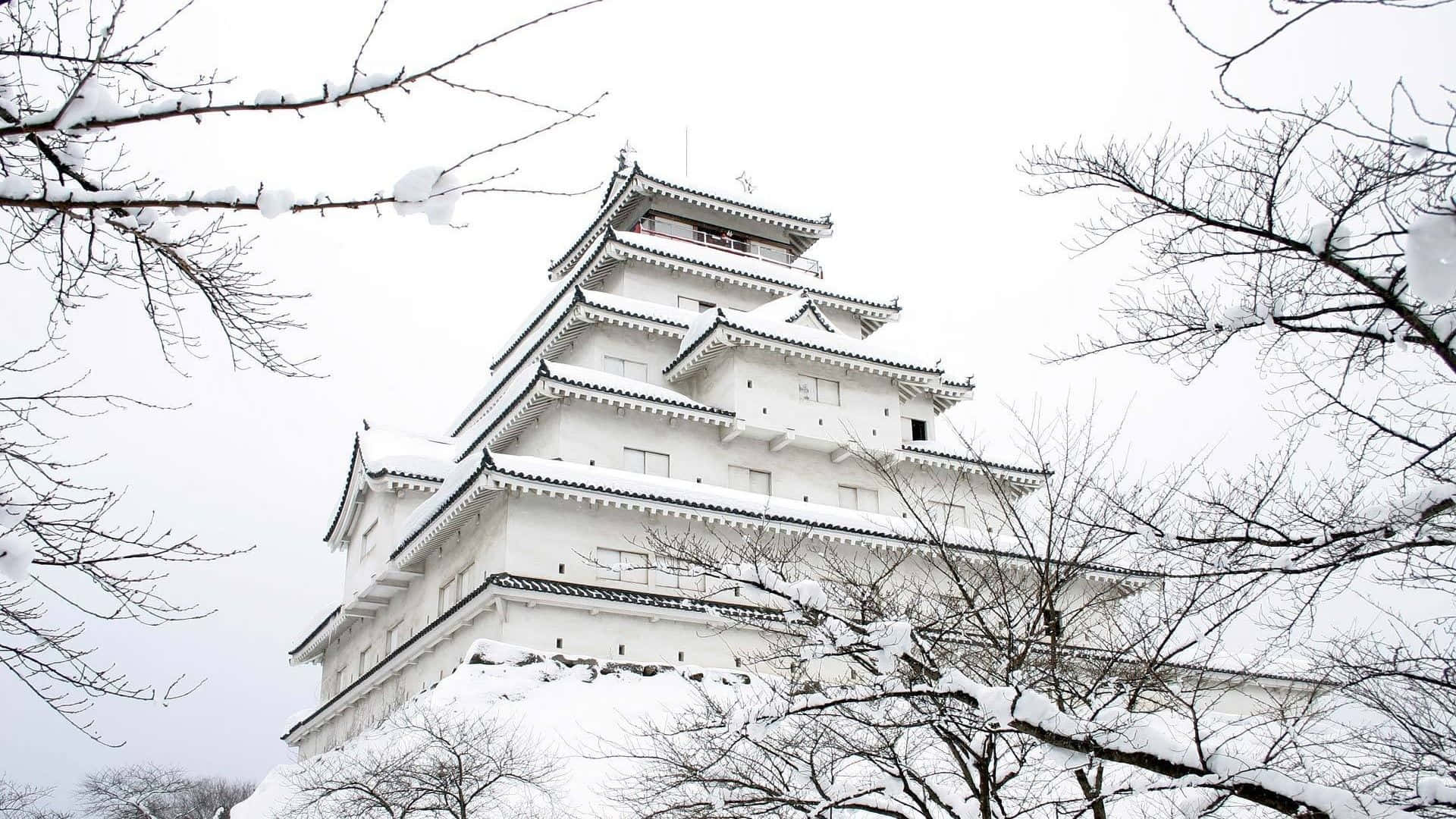 冬日光禿樹枝框住的雪覆蓋日本城堡。