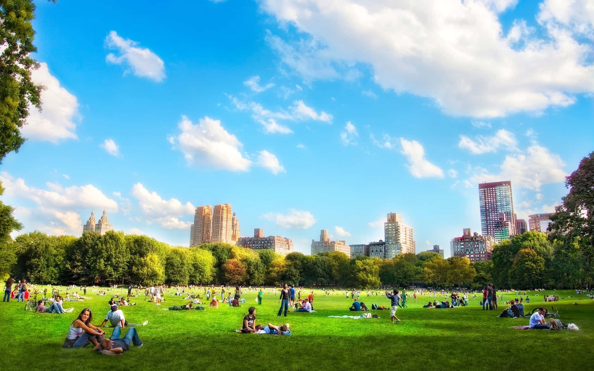 於這風景如畫的綠意公園盡情享受自然之美 壁紙 — 人們在充滿活力的綠色草坪上放鬆，頭頂是明亮的藍天，遠處有蓬鬆的白雲和城市天際線。
