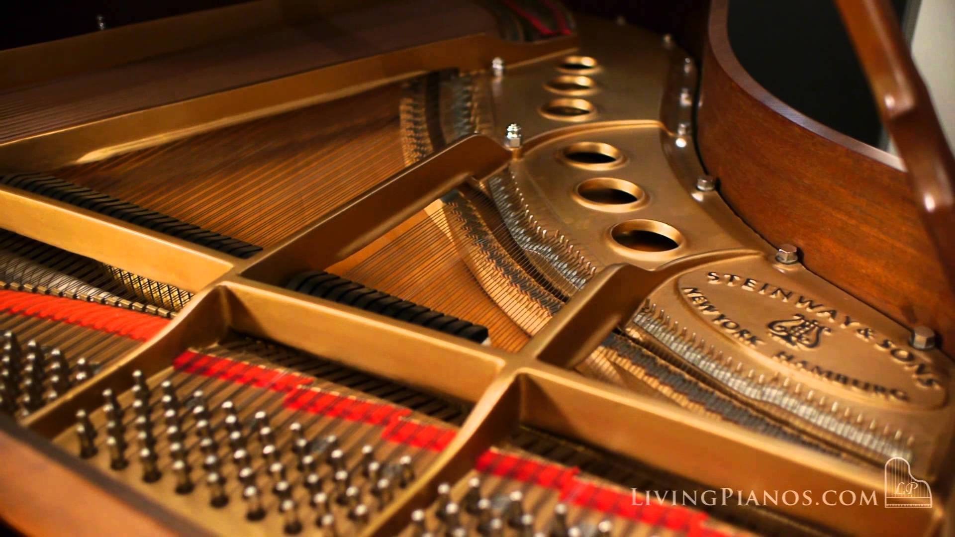 Steinway 三角鋼琴內部機械和琴弦的特寫。