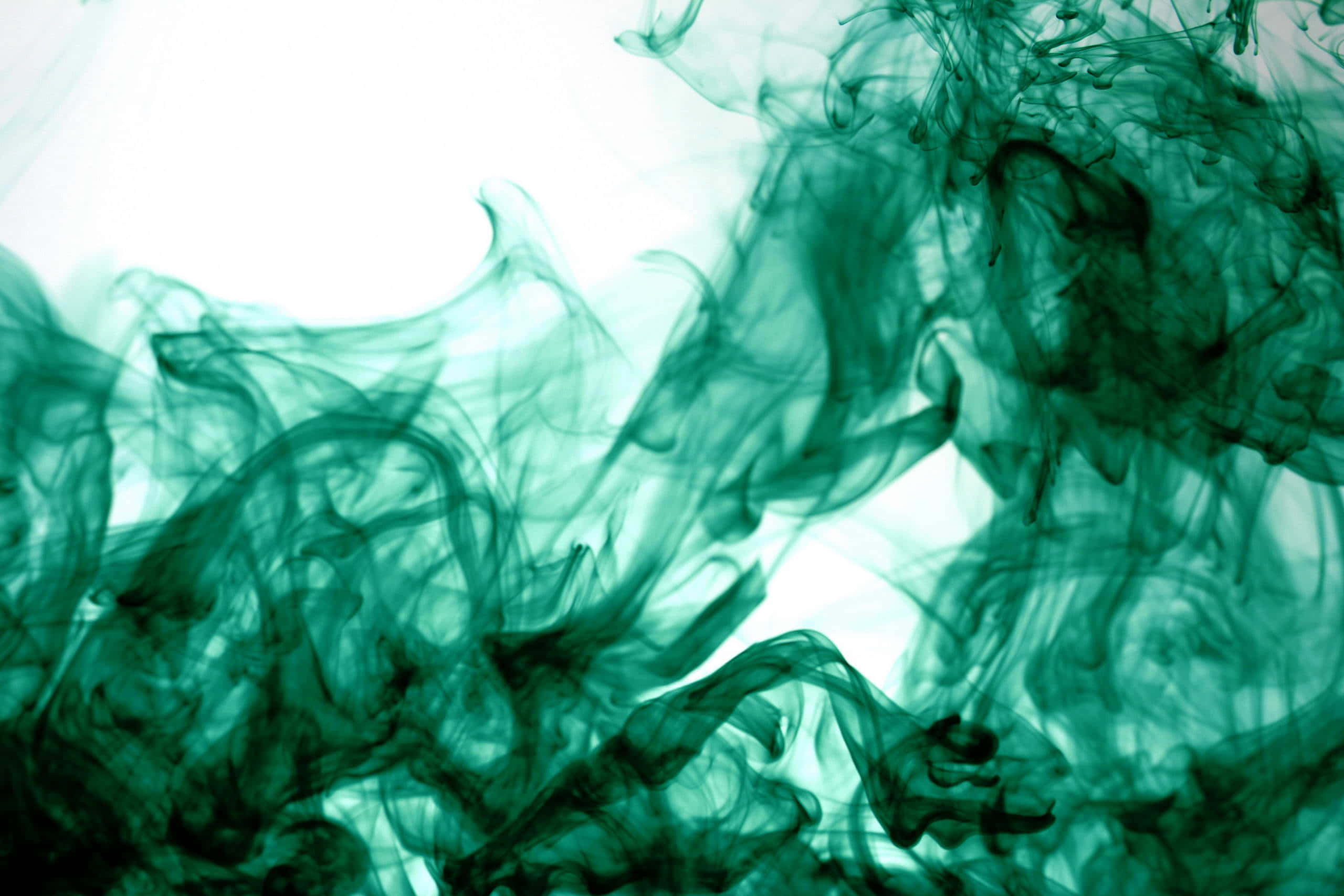 Green Smoke 桌布 壁紙 — 旋轉的翡翠綠色墨水在明亮的白色背景中溶解，營造出空靈的抽象動感。