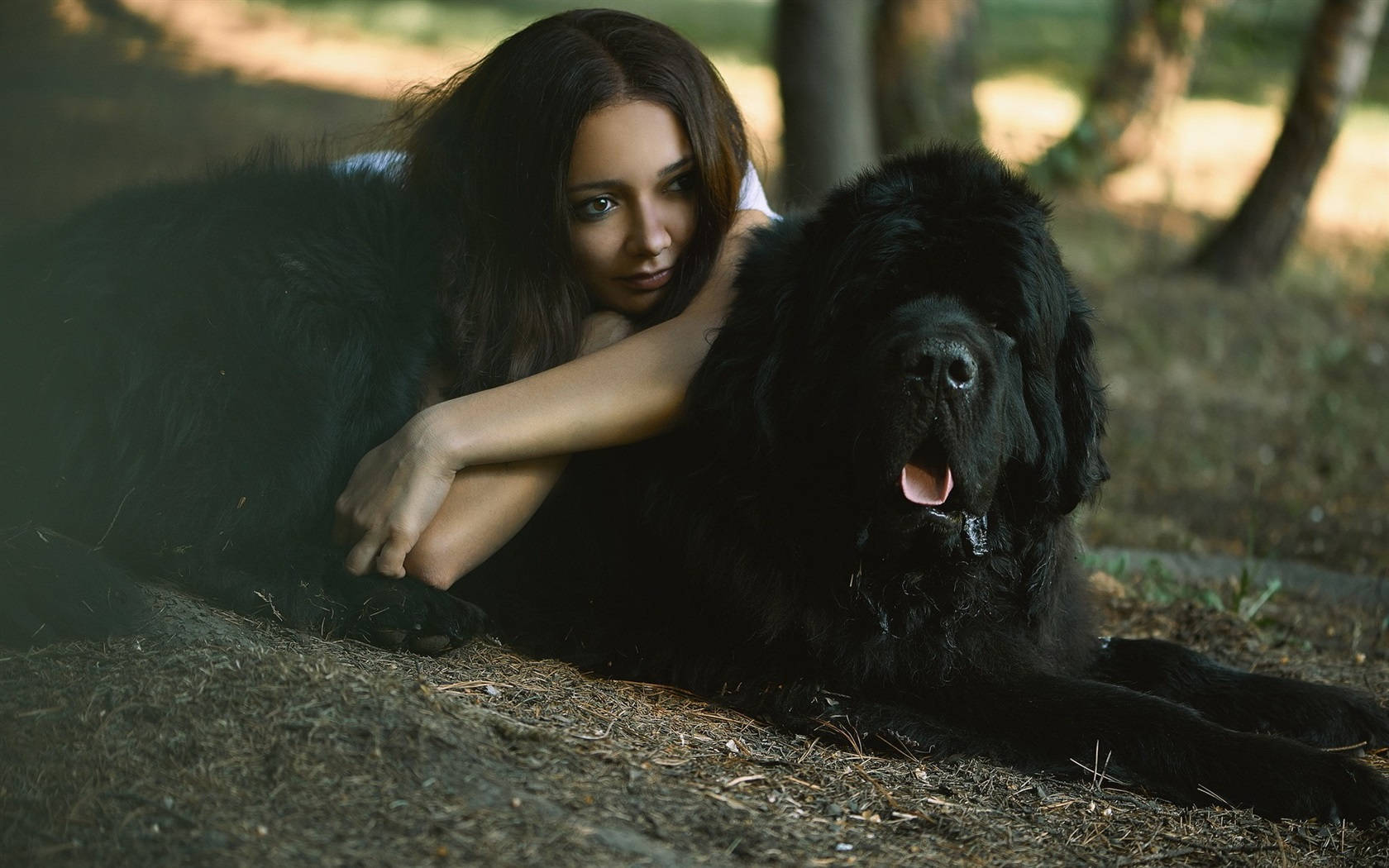 女性和黑色紐芬蘭犬在森林中一起休息。