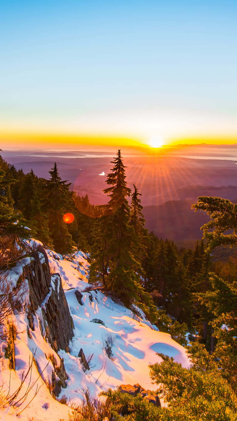 夕陽下白雪覆蓋的山脊與常綠樹，將金色光芒投射在山谷上。 — 雪 壁紙