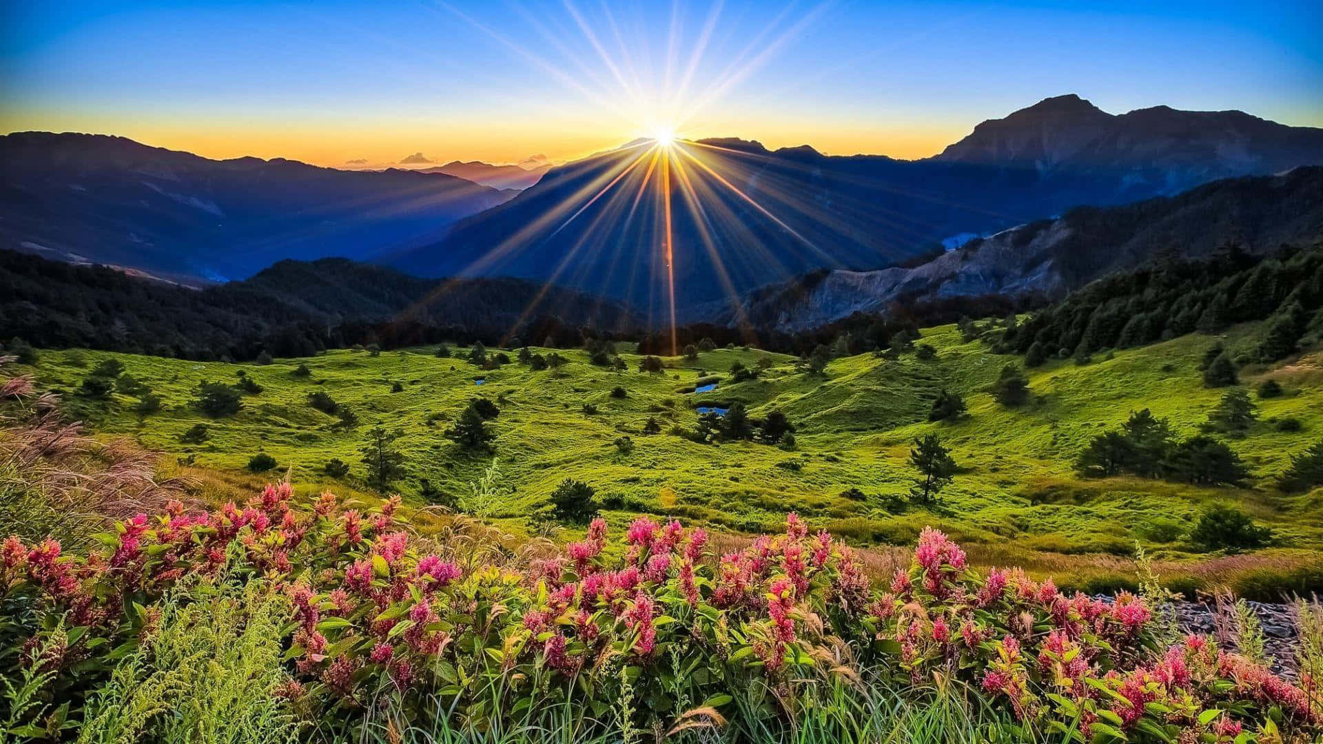 Spring Sunrise 桌布 壁紙 — 日出時，陽光照射在山谷上，前景中粉紅色的野花盛開。