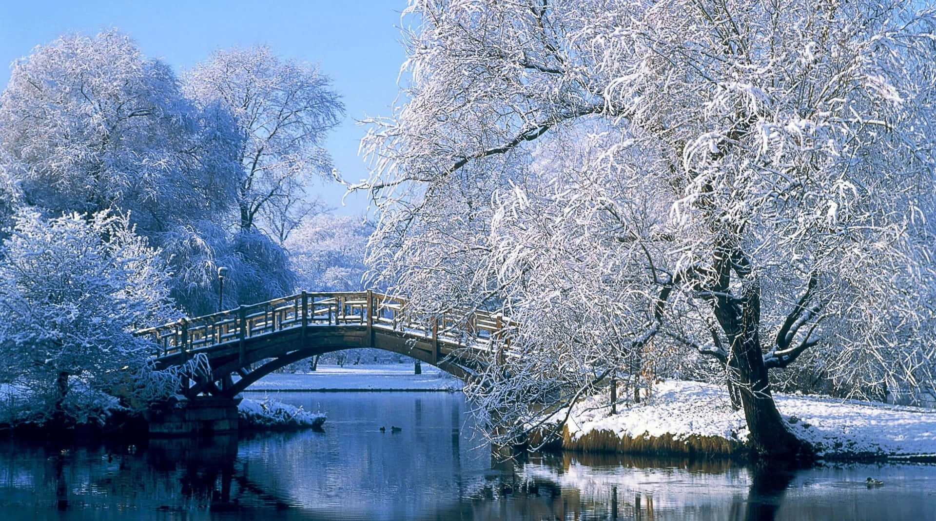 日出時分的雪山 壁紙 — 一座木橋拱起在平靜的河面上，周圍是白雪覆蓋的樹木，在清澈的藍色冬日天空下。