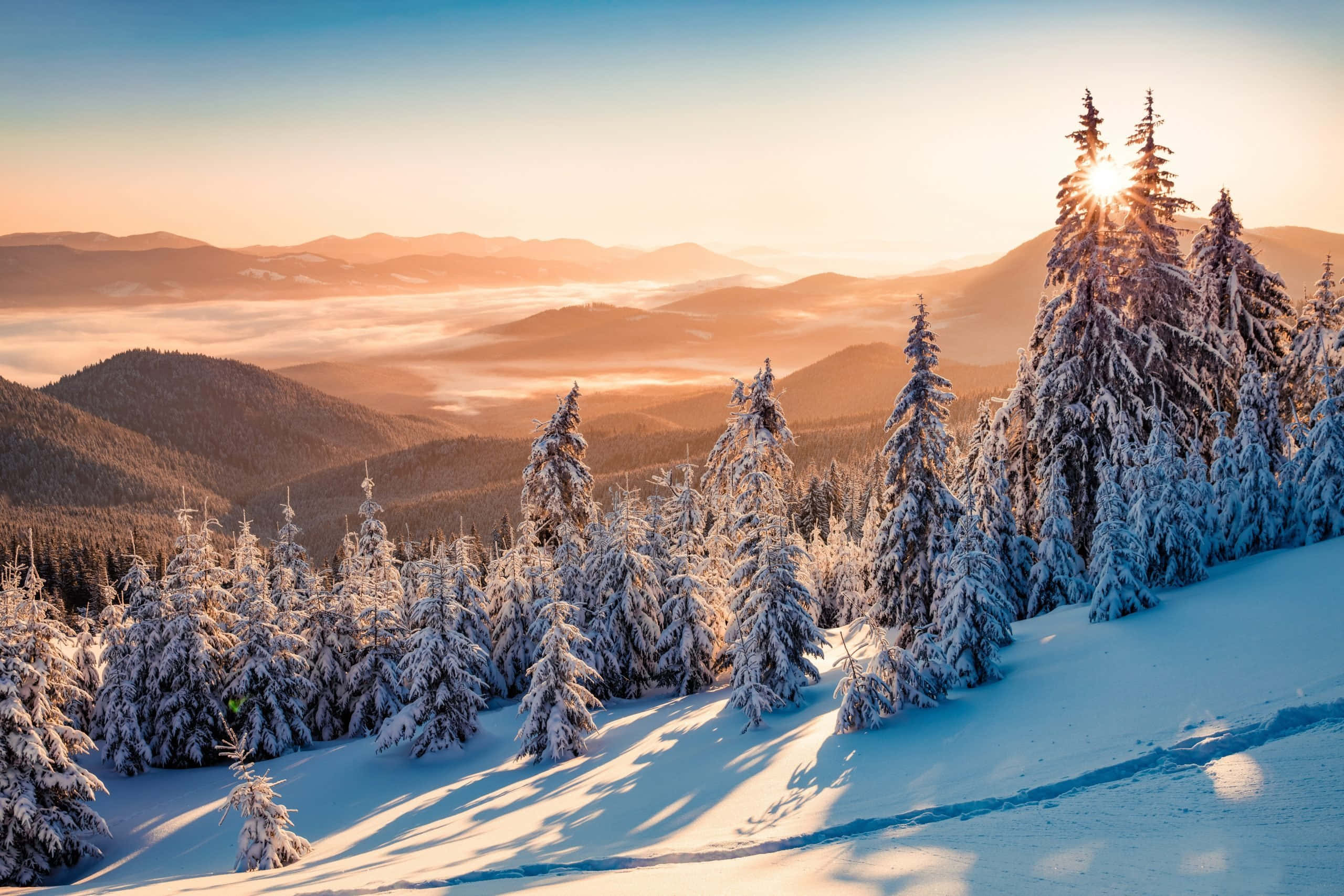 winter solstice 桌布 壁紙 — 日出溫暖地照耀在白雪覆蓋的松樹和霧氣瀰漫的山谷上，呈現寧靜的冬季景觀。