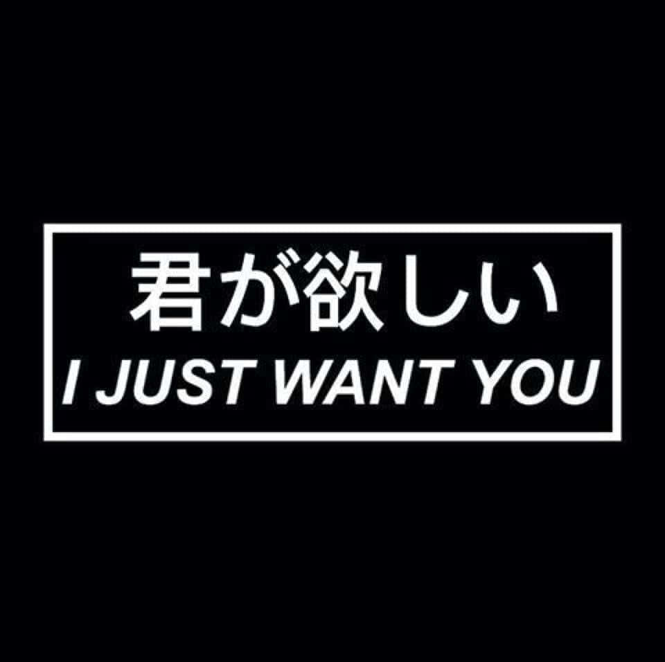 黑色背景，矩形內有白色文字「君が欲しい I JUST WANT YOU」。