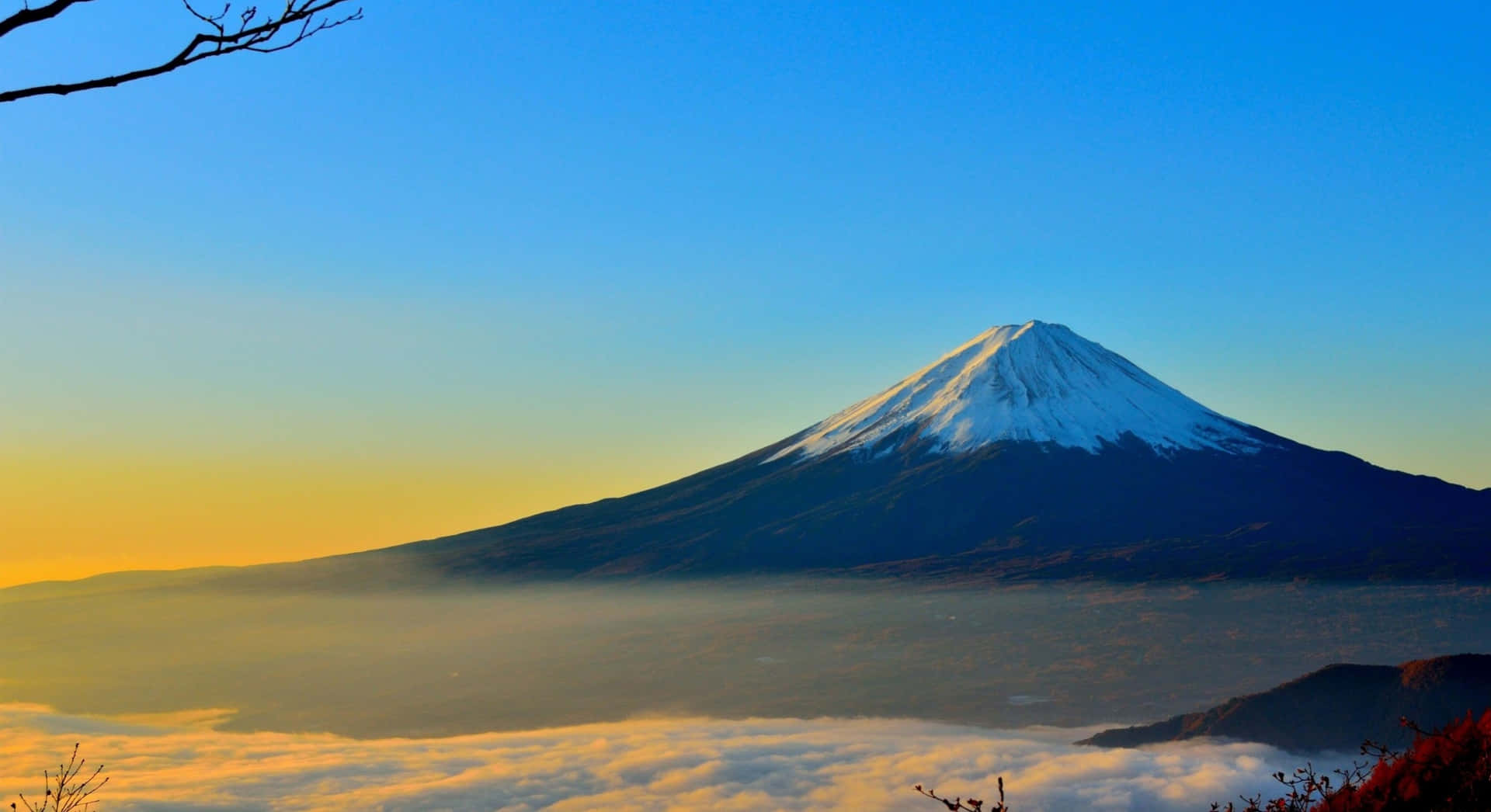 日出時雲海之上的富士山，前景有光禿的樹枝