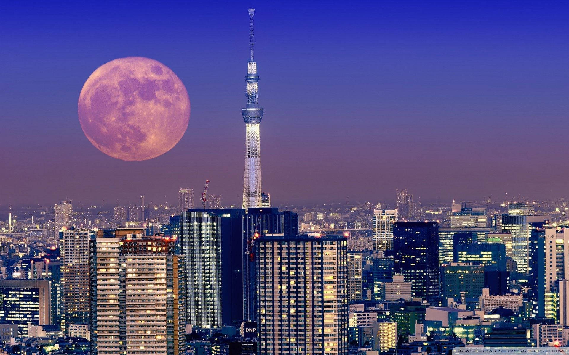 黃昏時分的東京天際線，一輪巨大的粉紅色月亮和亮燈的東京晴空塔。