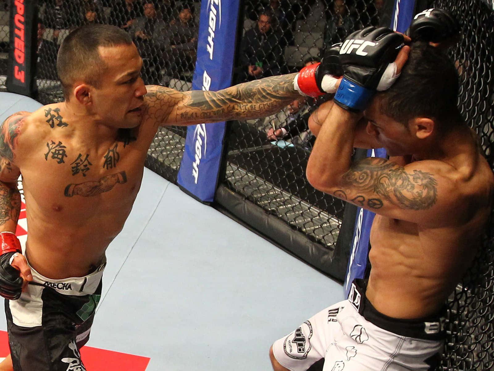 日本MMA選手山本信一郎於UFC 144賽事中與對手瓦恩·李對峙 壁紙 — 兩名紋身MMA拳手在八角籠中交鋒，其中一人向對方頭部猛烈出拳。