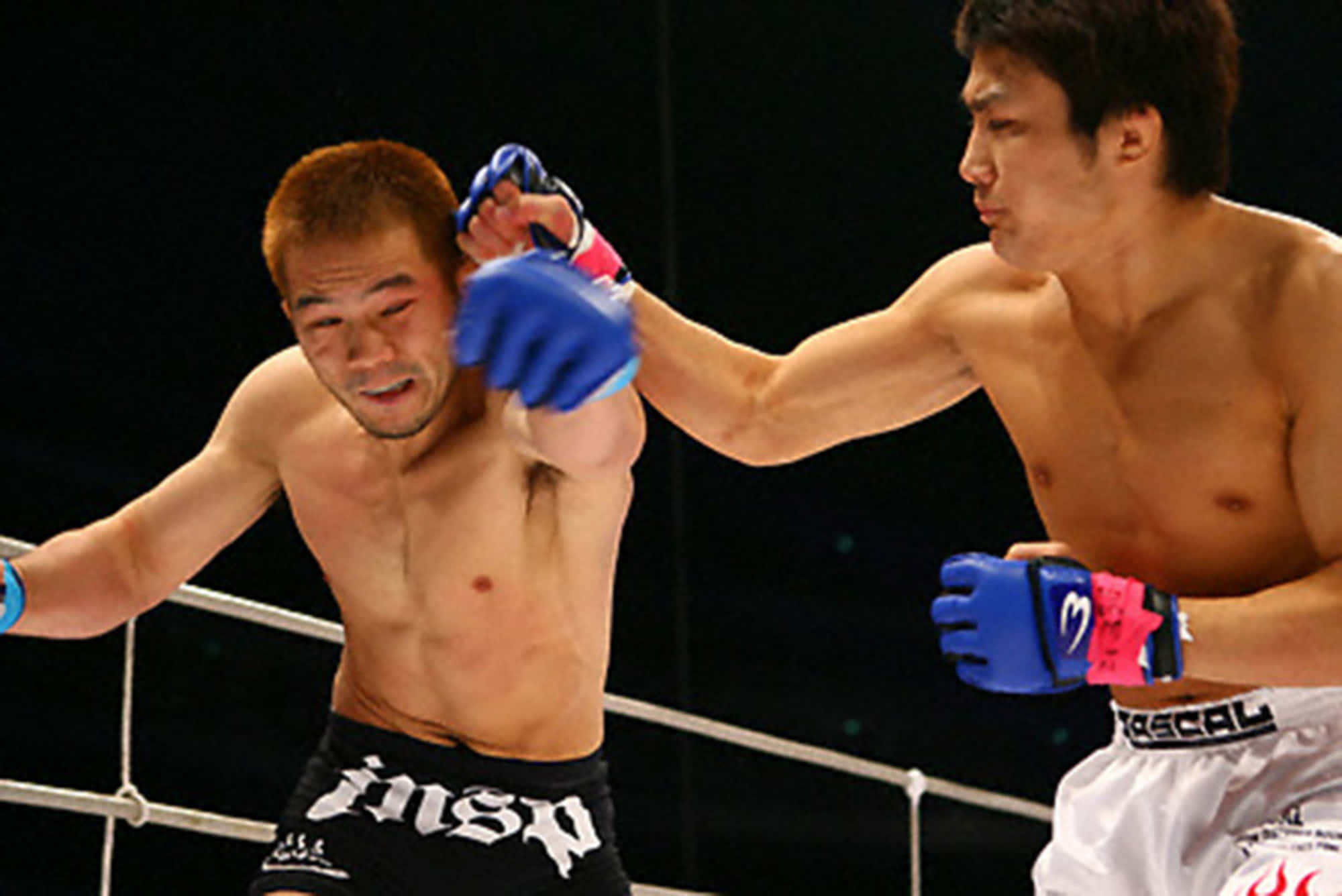 日本MMA選手櫻井隼人與神木貴昭對戰 壁紙 — 兩名拳手在籠中，一人一拳打在對方臉上，對方在明亮的場館燈光下痛苦地扭曲表情。